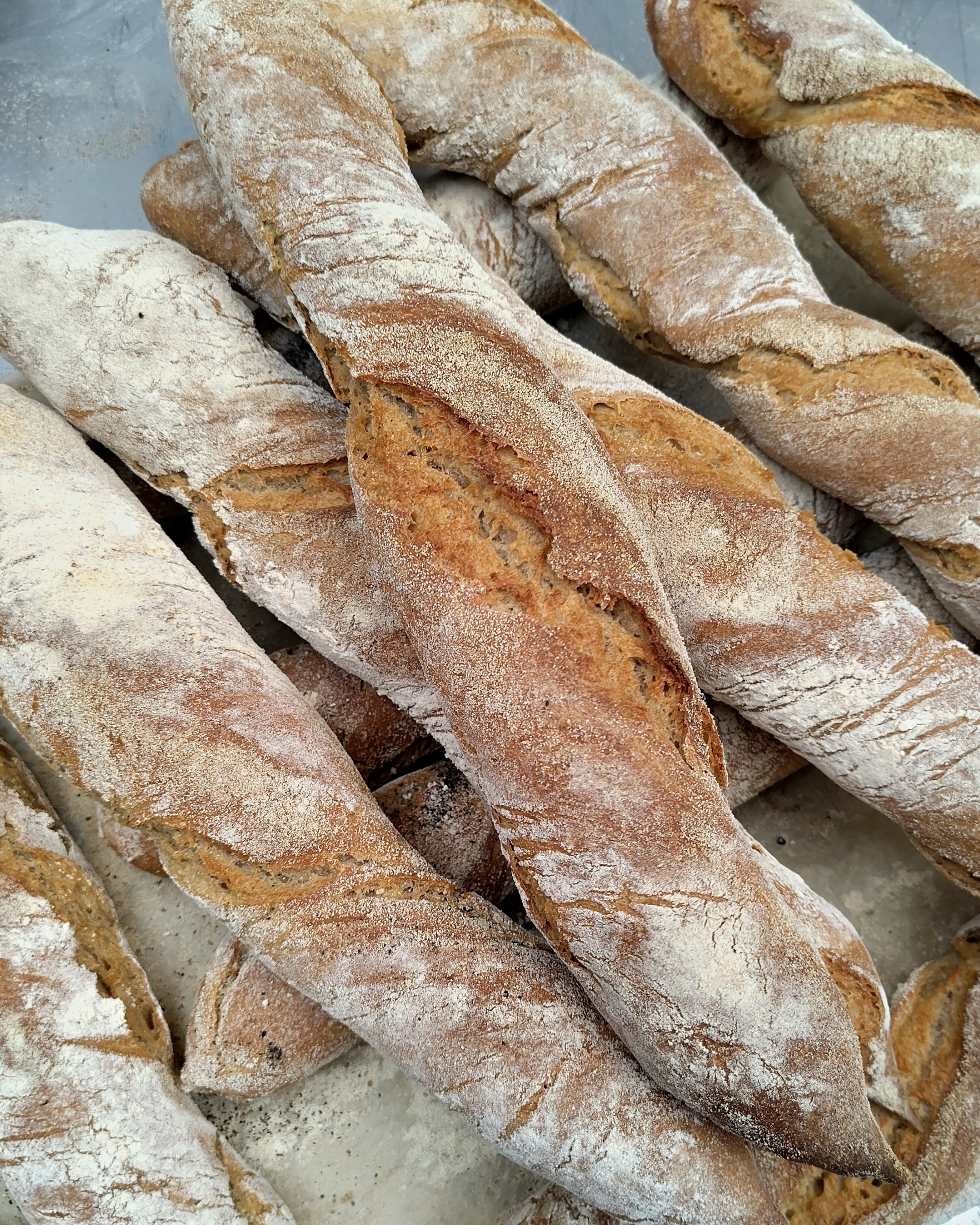Close-up of several freshly baked baguettes with a dusting of flour on top, resting on a surface.