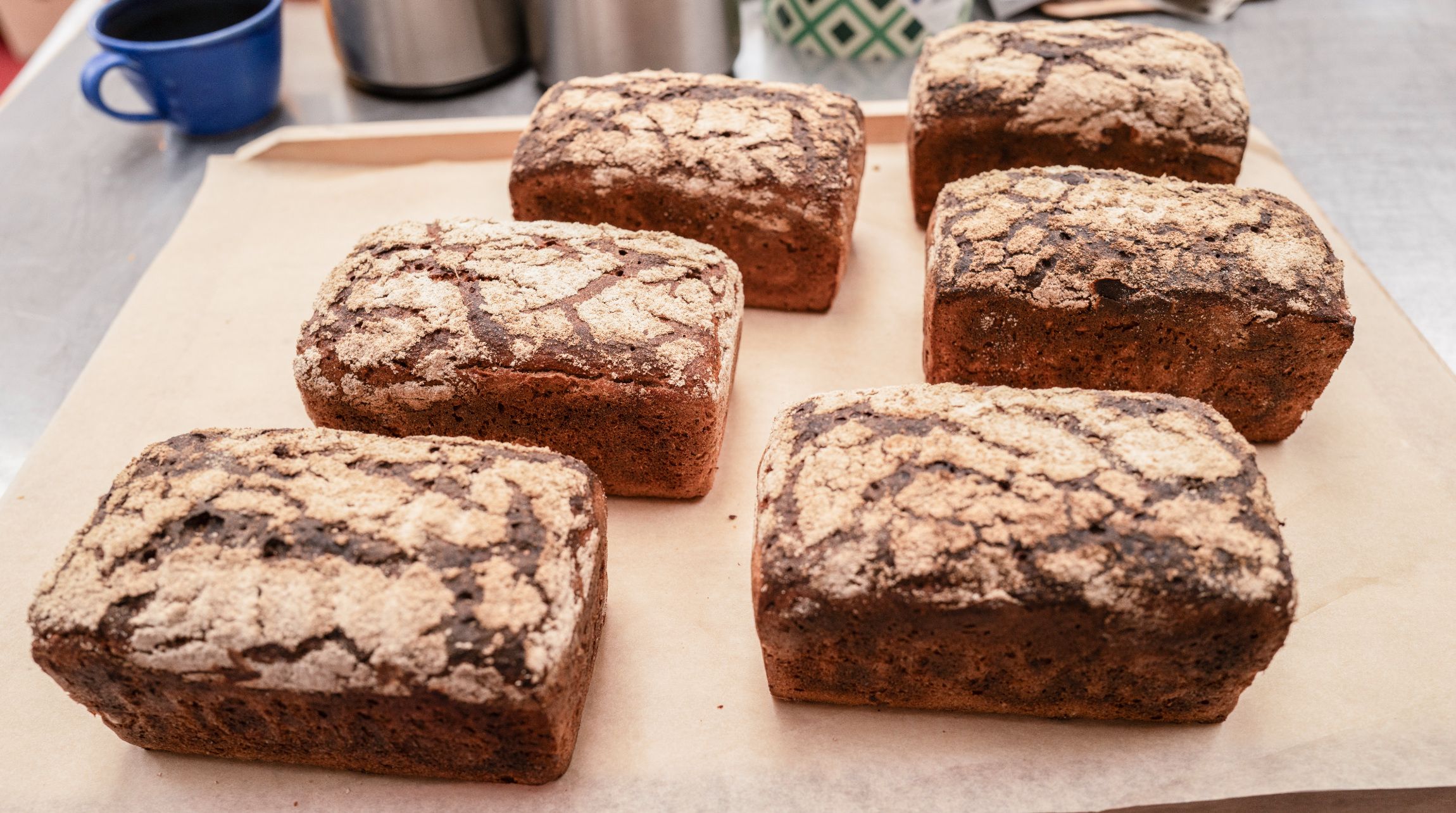 Six chocolate crackle loaf cakes on parchment paper, with a crumbly cocoa topping. Background shows a blue mug and a metal container.