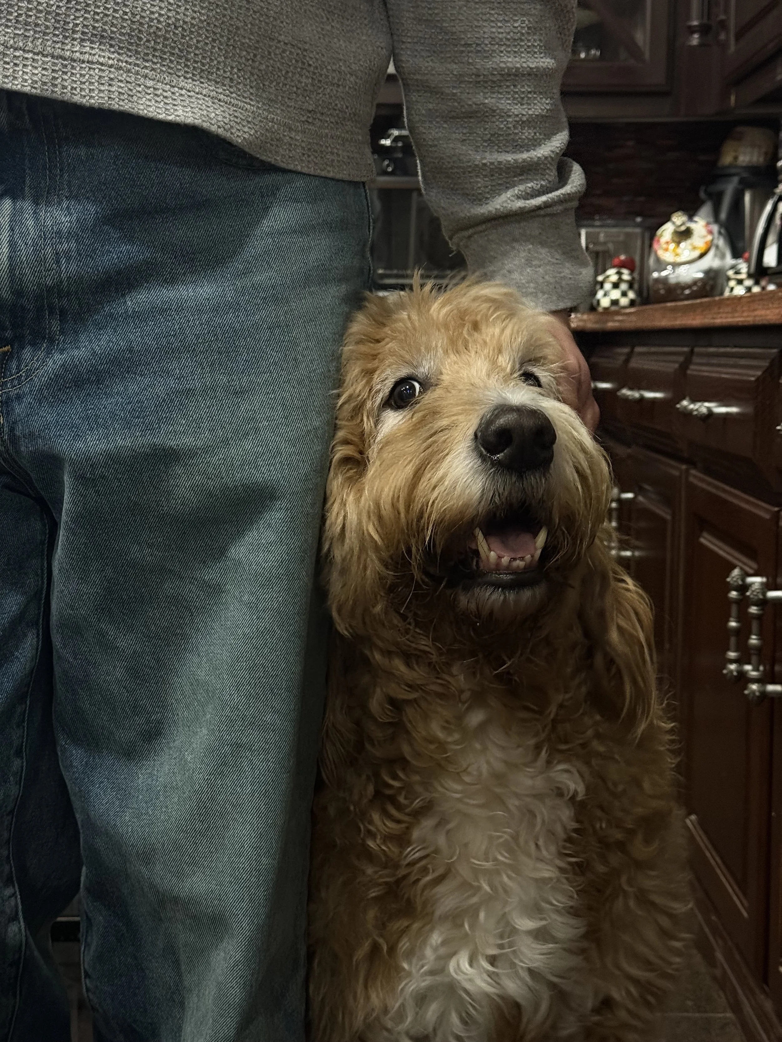 Creative Consultation