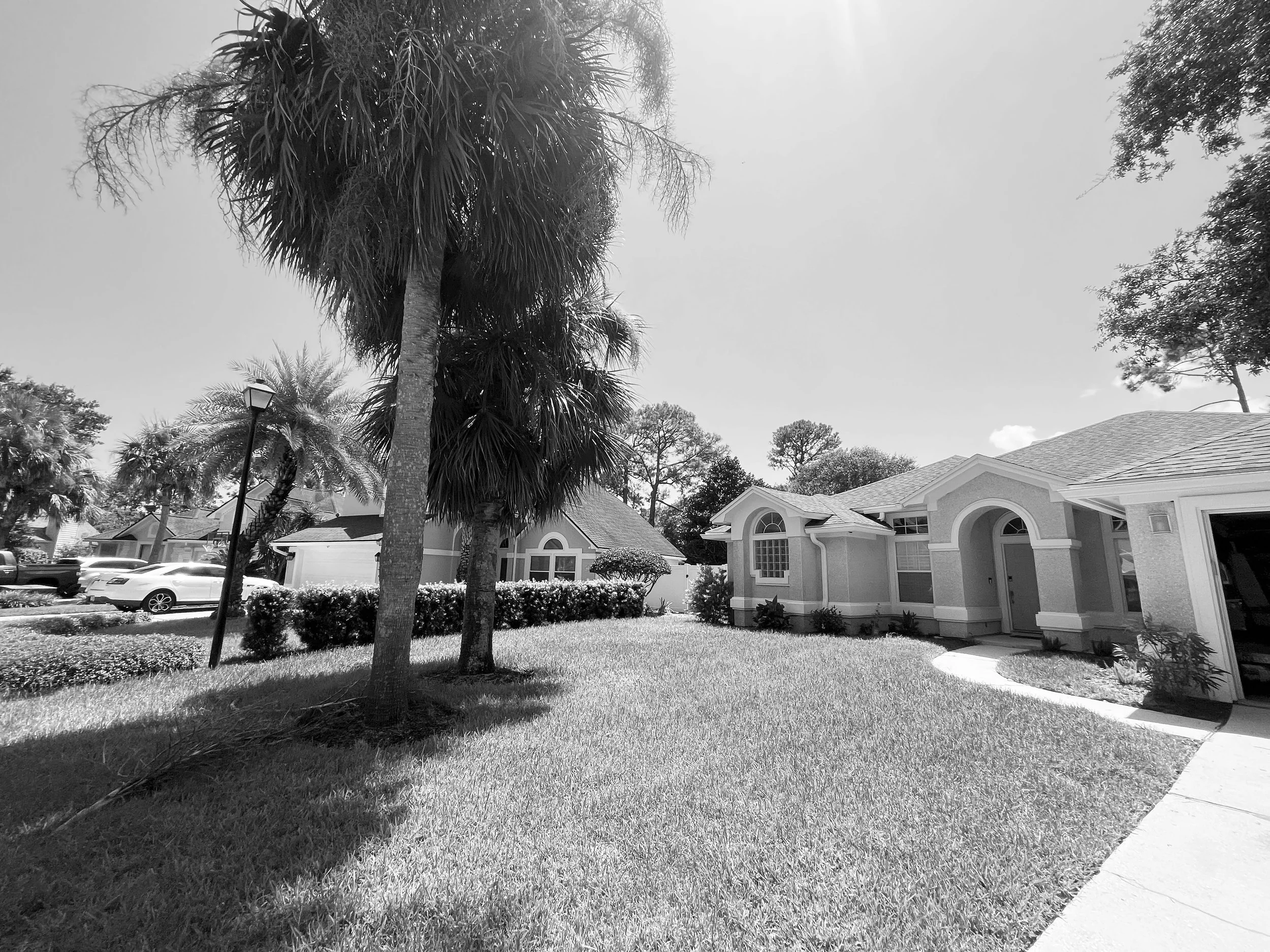 A suburban front yard with palm trees, a concrete sidewalk, well-maintained lawn, and a single-story house with an arched entryway in black and white.
