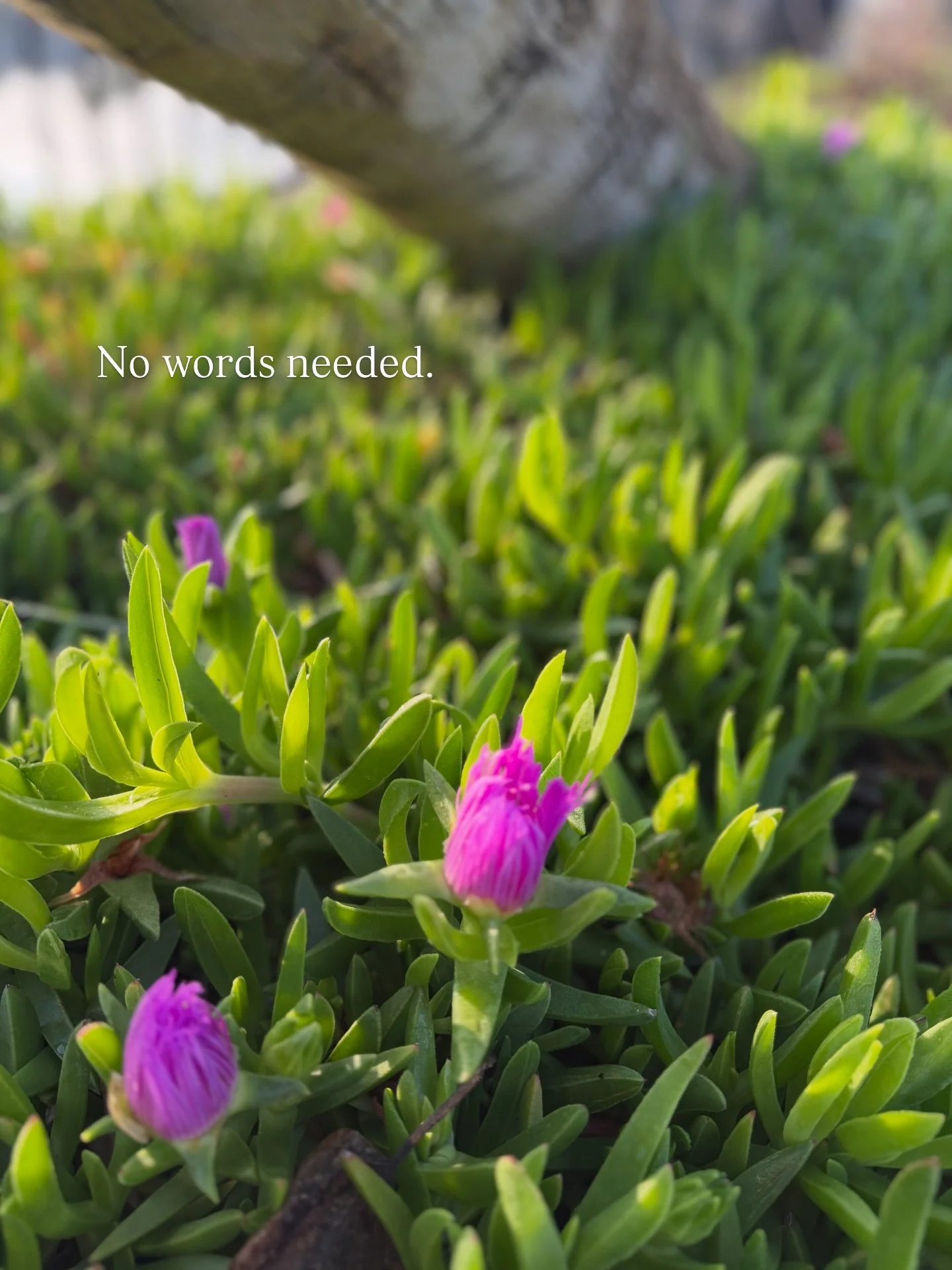 This landscape speaks for itself.