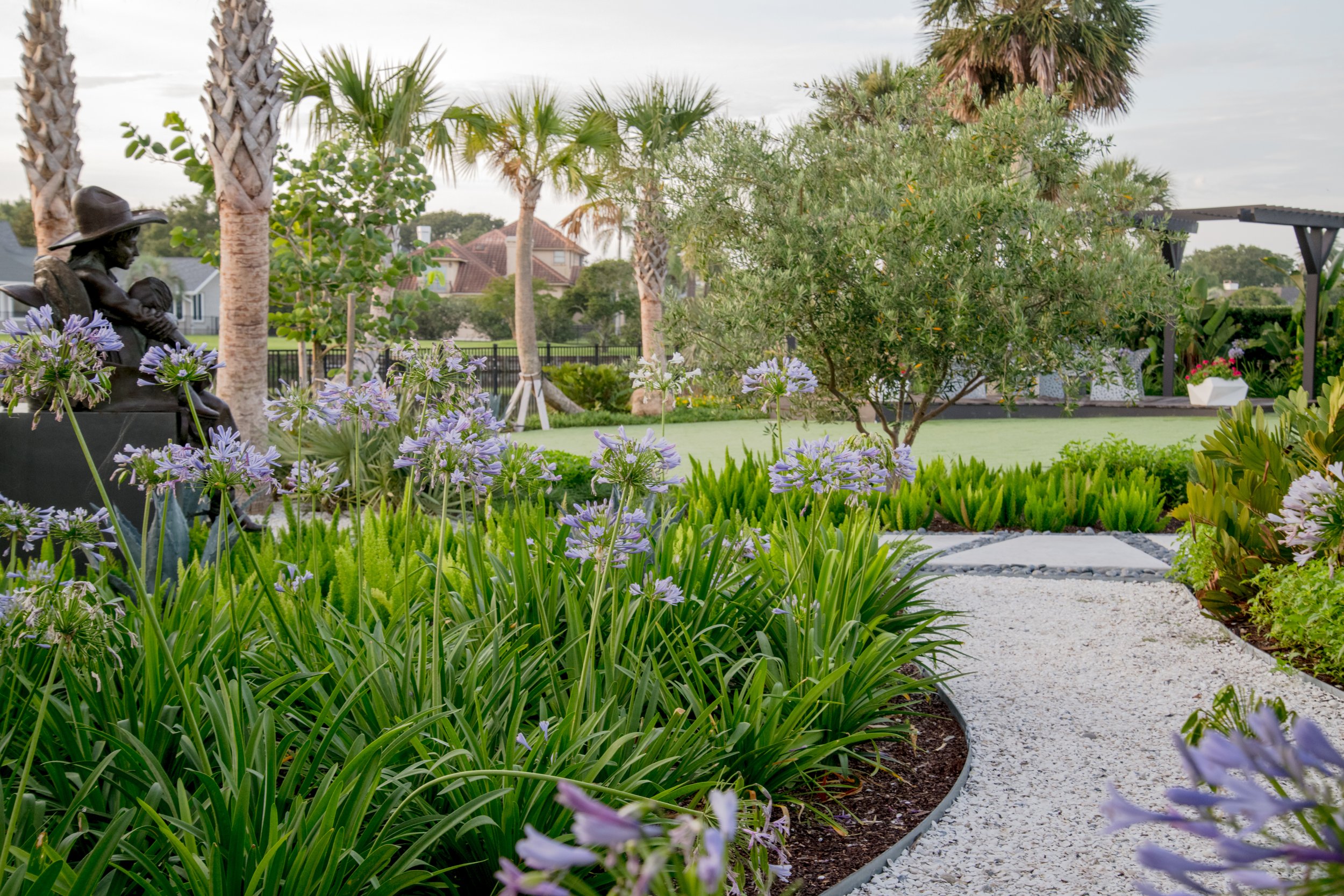 Lush residential garden featuring a curved gravel pathway, vibrant purple agapanthus, sculptural olive trees, and tropical palms, blending Mediterranean-inspired planting with contemporary Florida landscape design.
