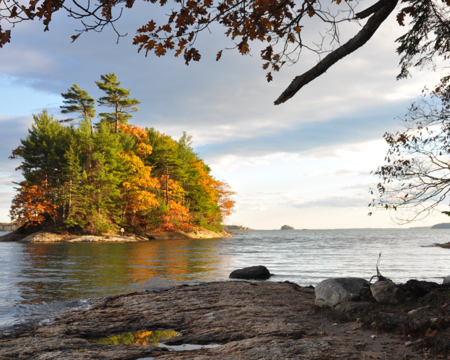 An Image of Wolfe's Neck Woods State Park