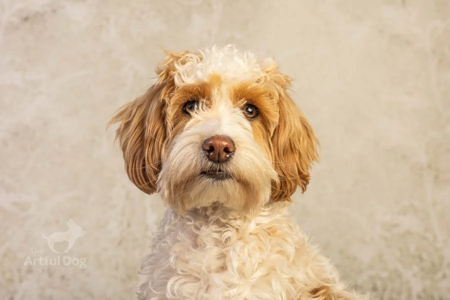 Low Resolution-8921.JPG