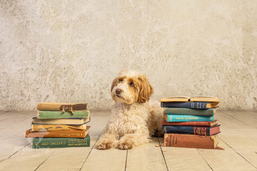 Low Resolution-8903.JPG