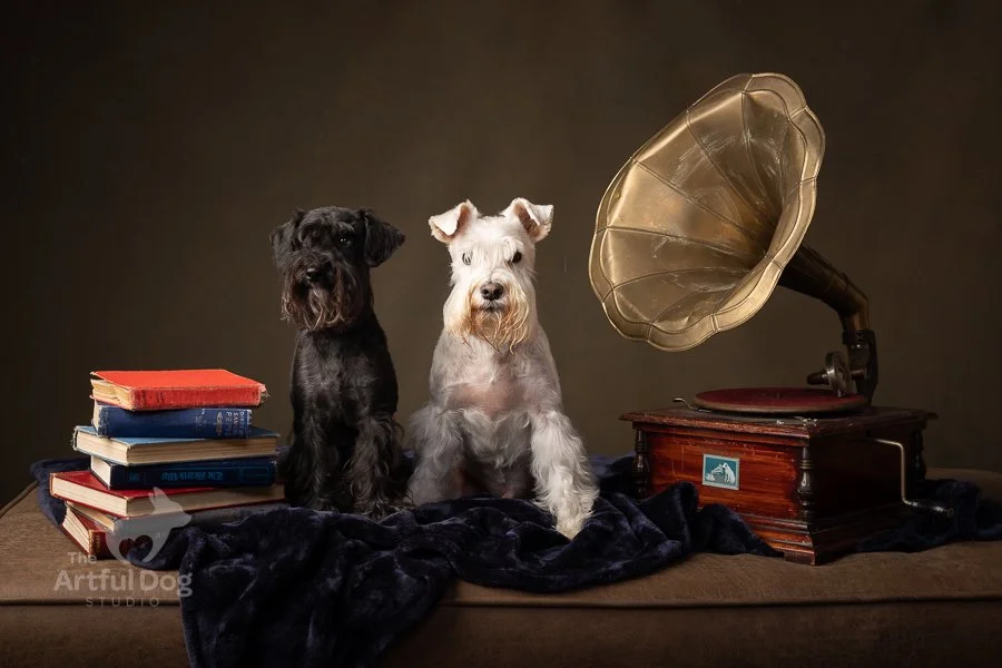 Low Resolution-6673.JPG