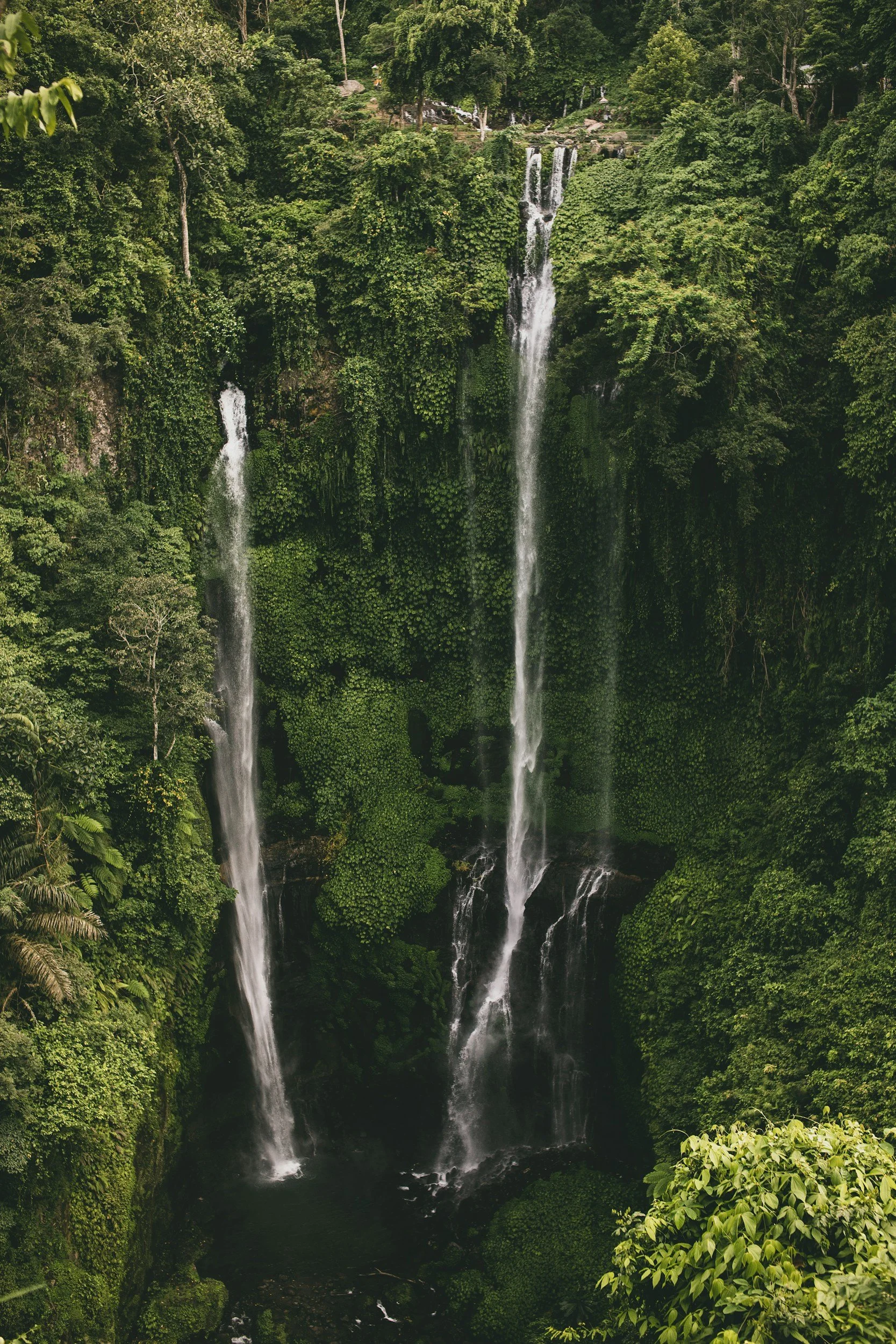 A tall waterfall cascading down a lush green forested cliffside.