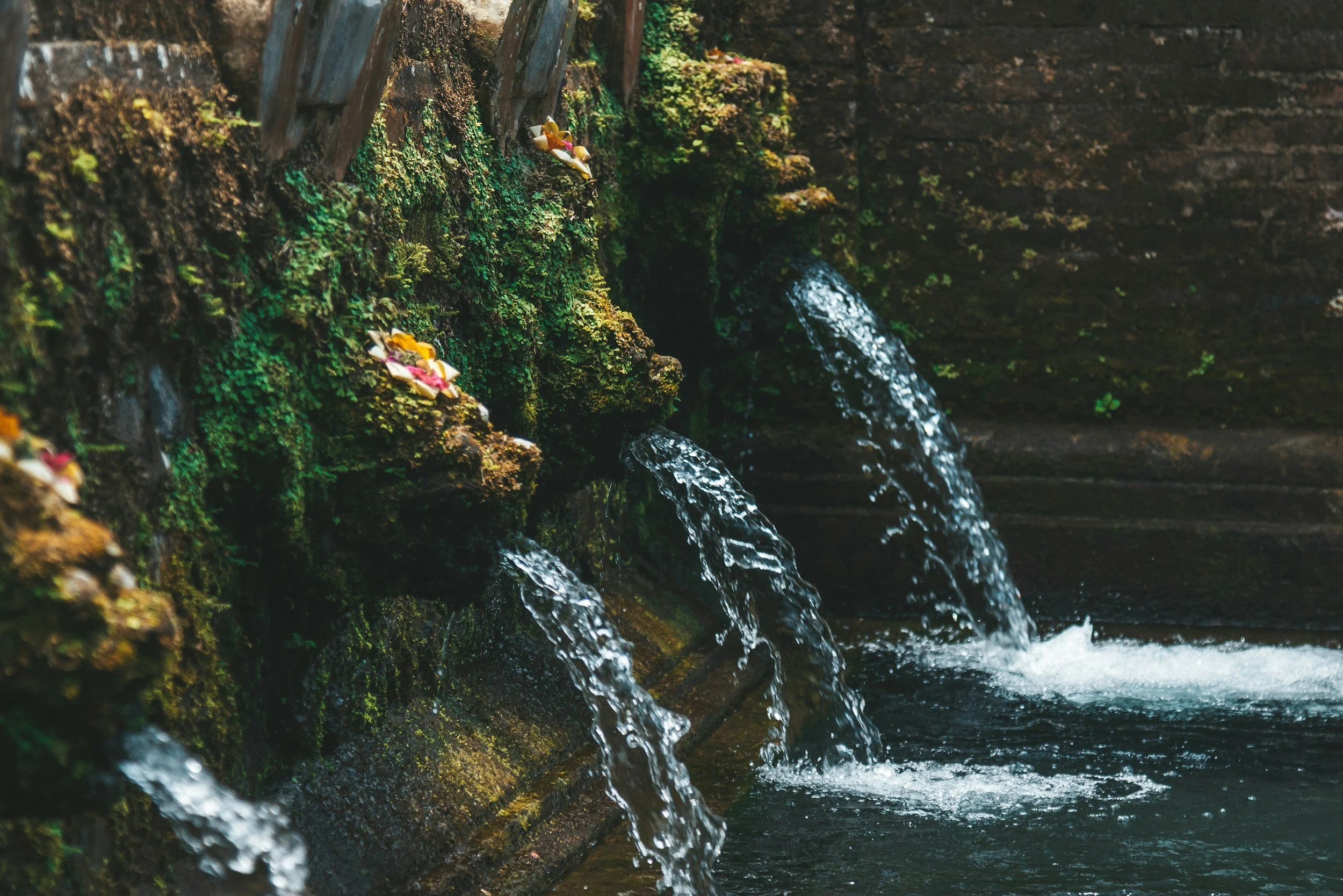 Fountain with water cascading from moss-covered spouts, decorated with small flowers, against a brick wall background.
