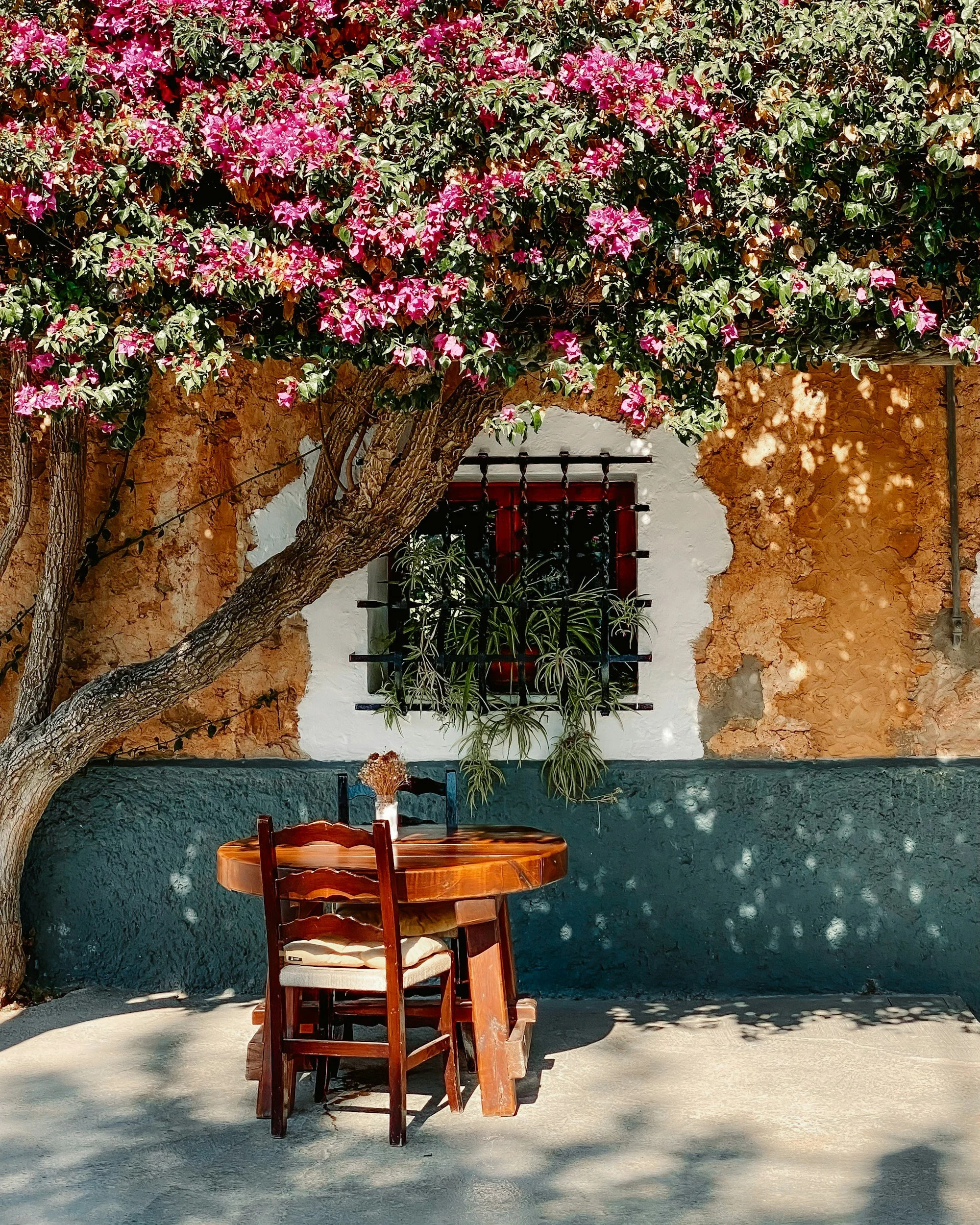 A rustic outdoor scene with a wooden table and chairs set under a flowering pink bougainvillea tree against an aged, textured wall with a window.