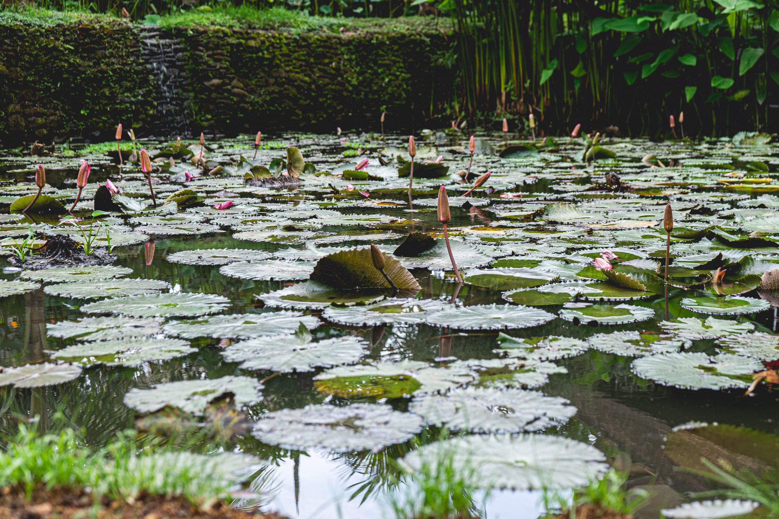 Anna Yoga Therapies-264.jpg