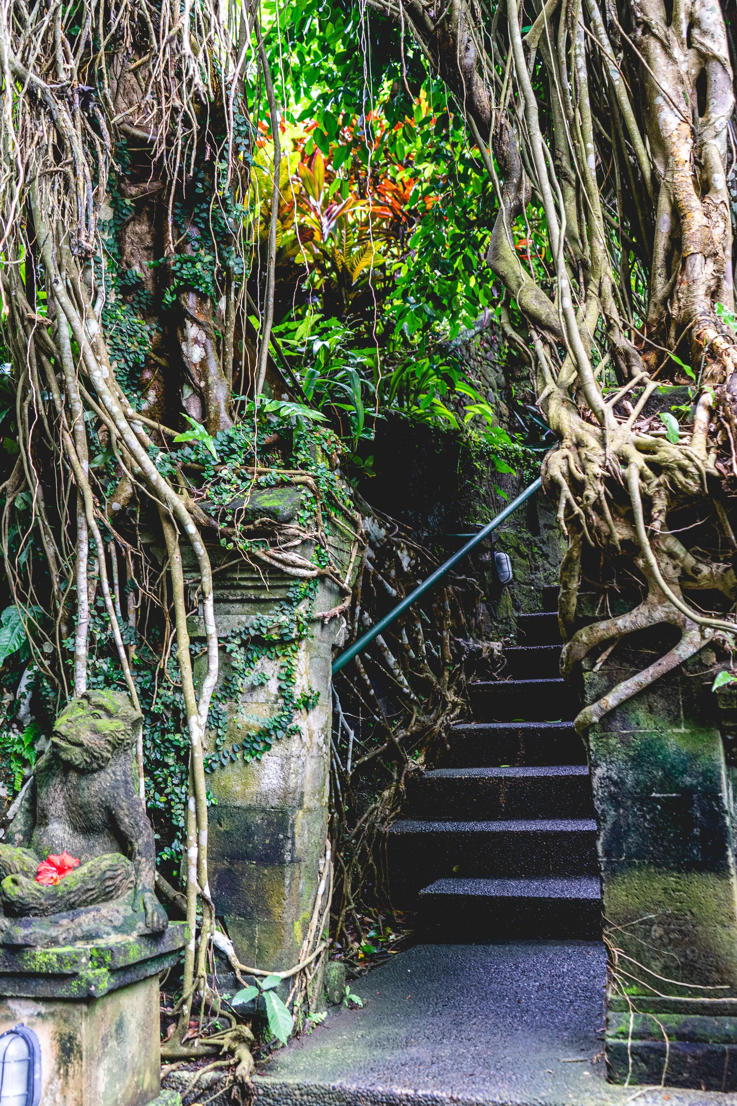 Anna Yoga Therapies-7.jpg