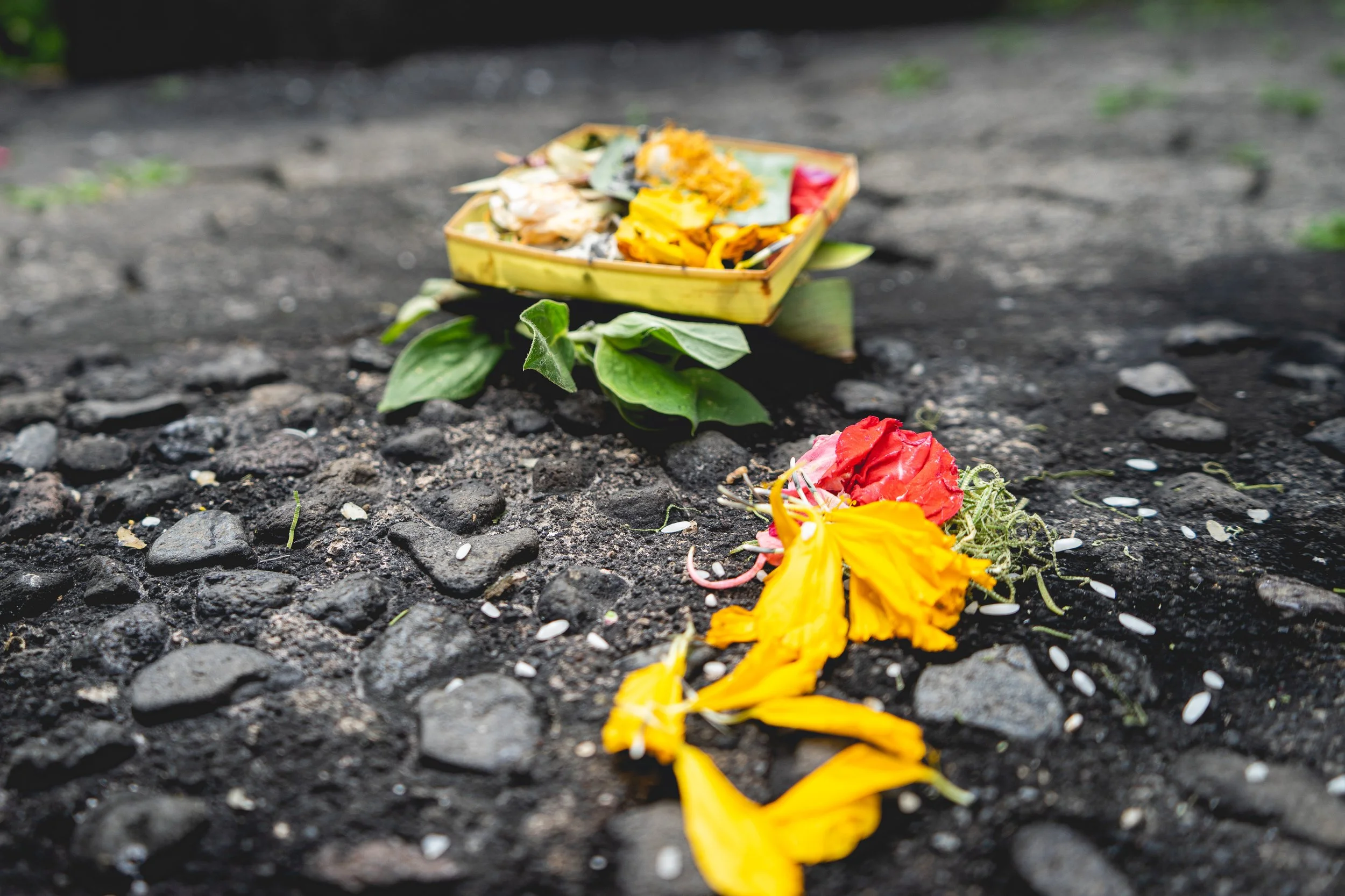 Anna Yoga Therapies-82.jpg