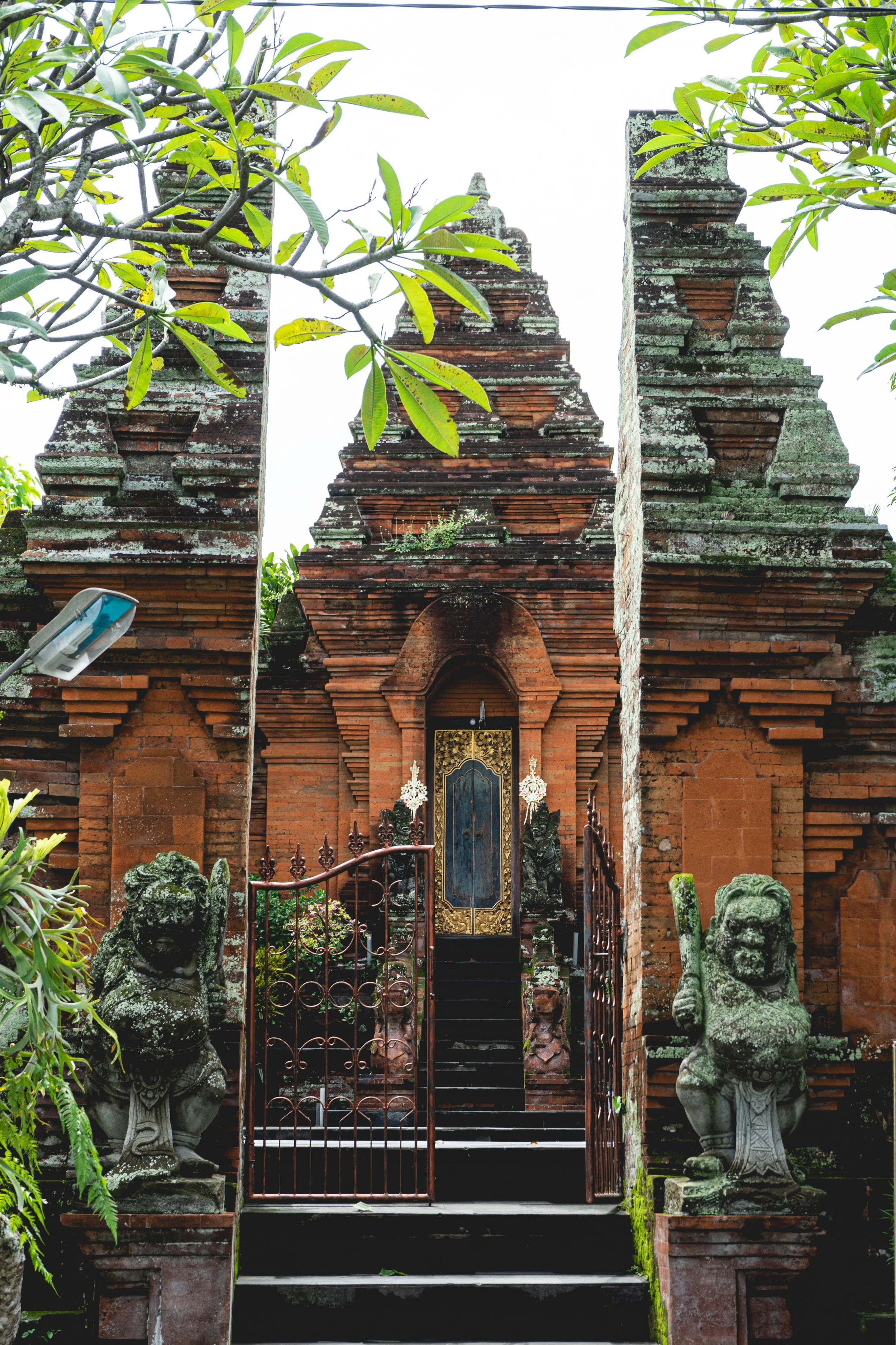 Anna Yoga Therapies-14.jpg