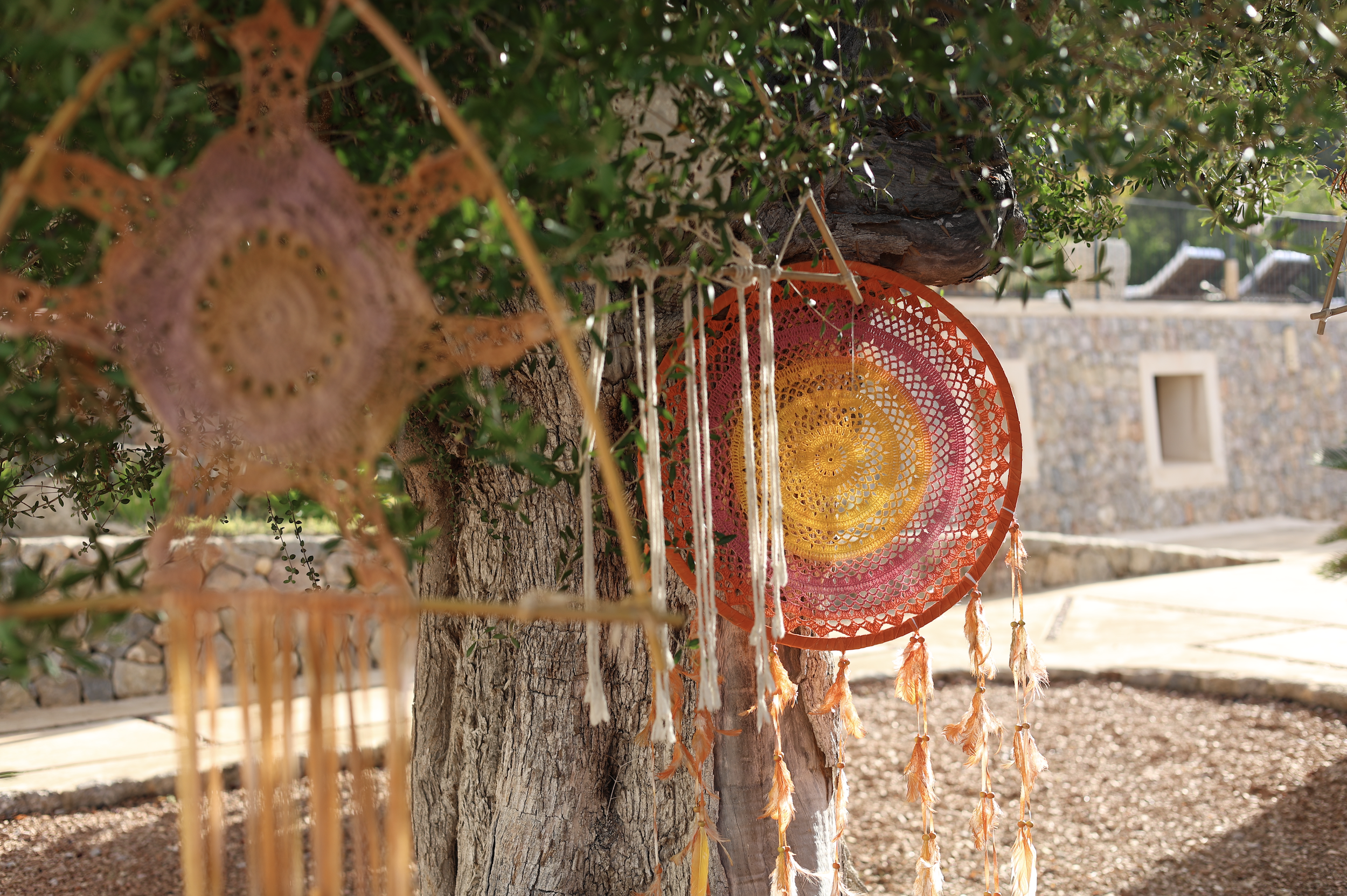 Screenshot 2026-01-25 at 12.20.26.png