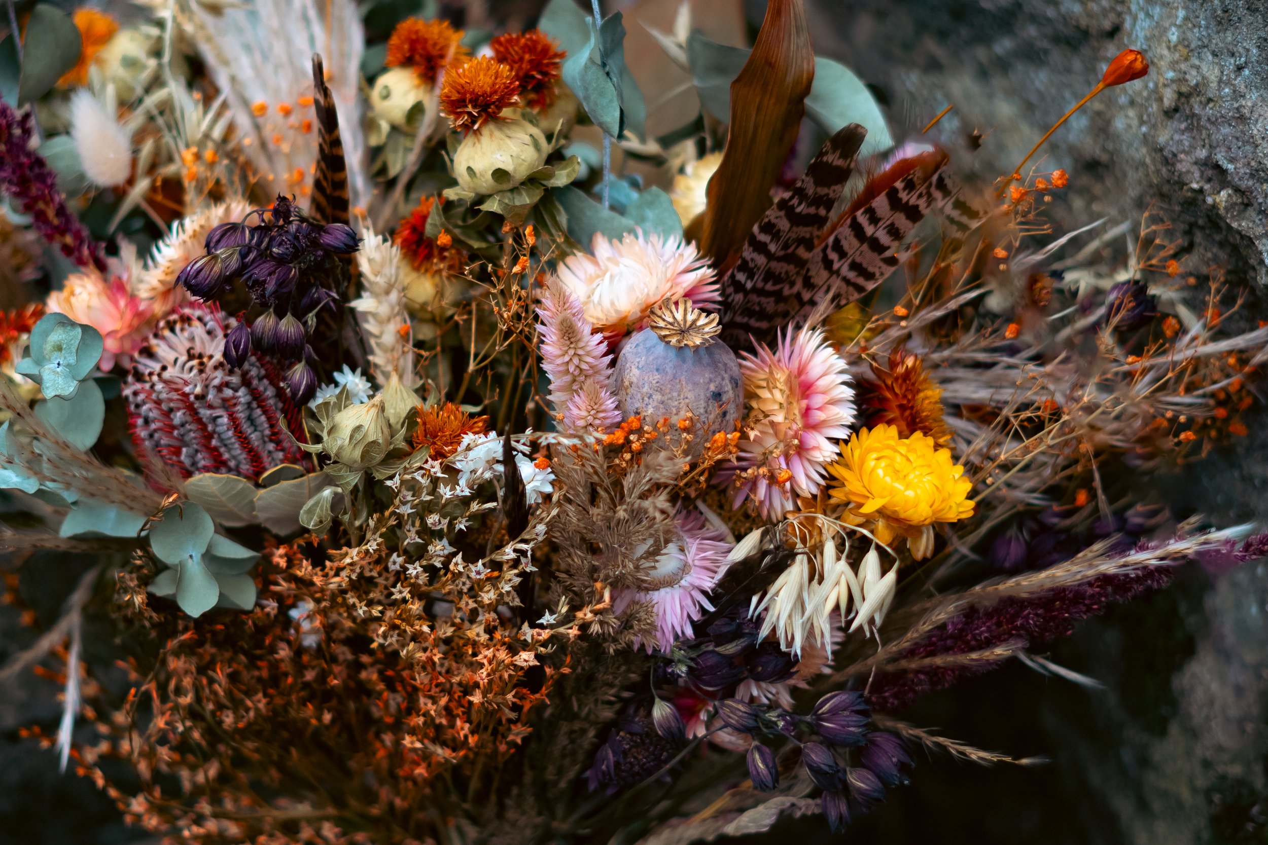 A close-up of a colorful dried flower arrangement with various flowers, feathers, and botanical elements.