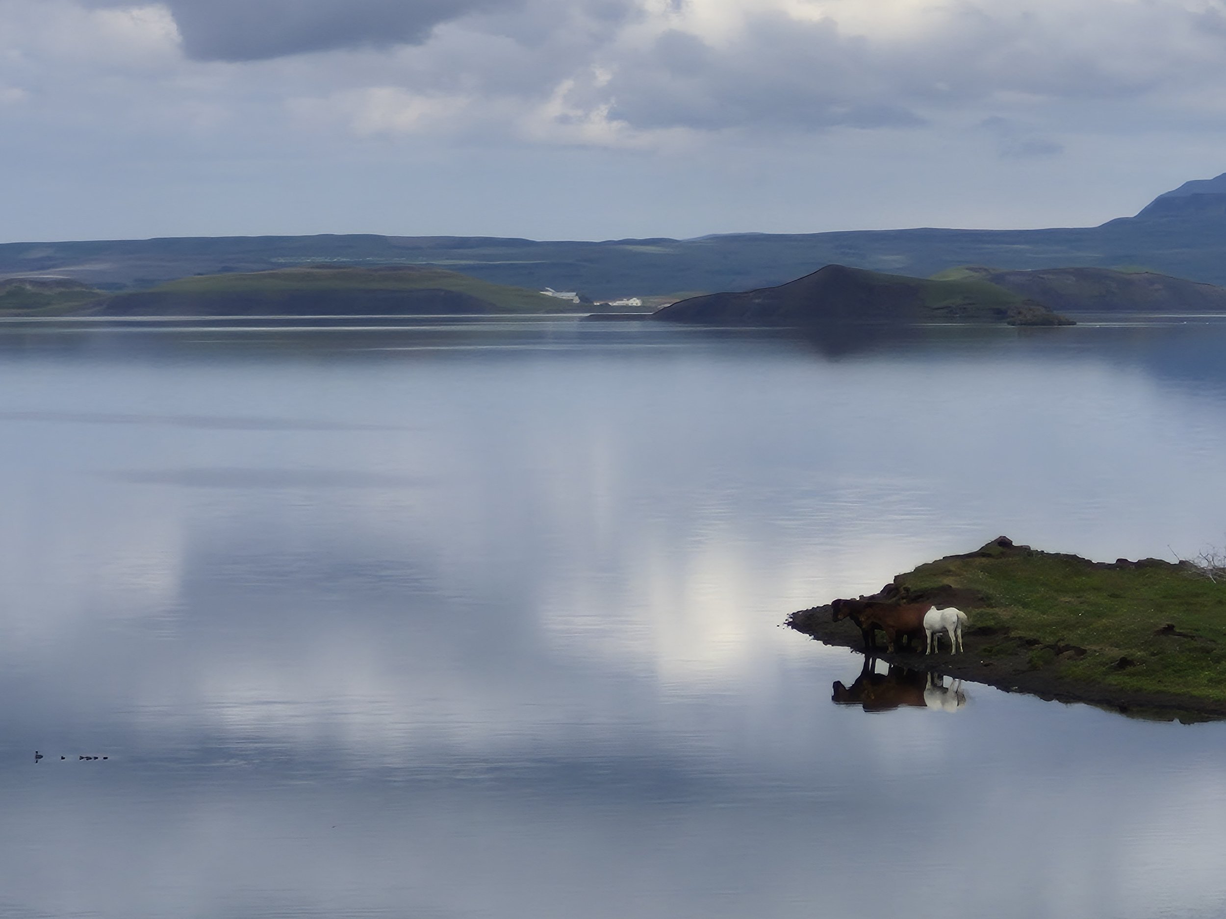 Lake Mývatn near Akureyri, Iceland