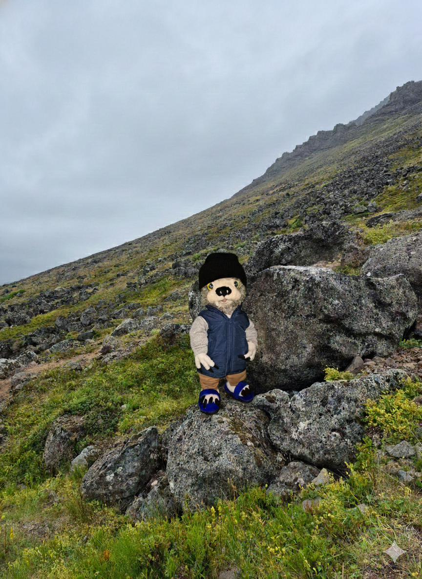 Cavvie climbing the mountain trail in Isafjordur, Iceland