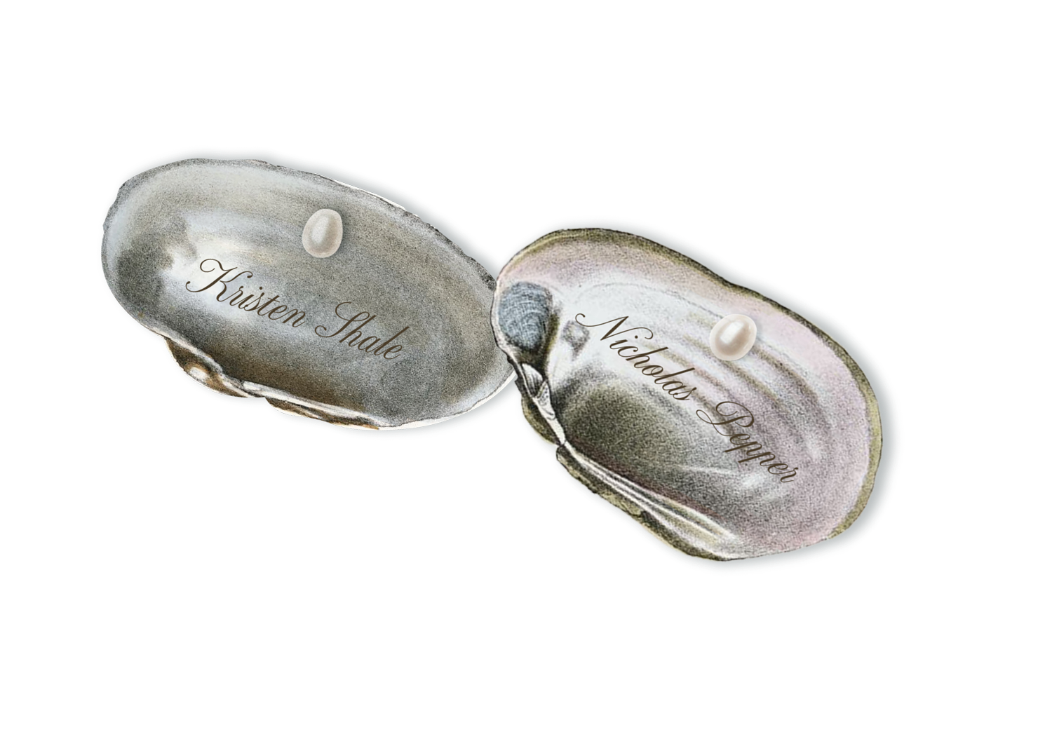 printed seashell cards with name of bride and groom