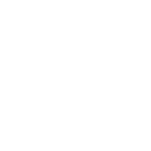 Whitestone Luxury Homes logo