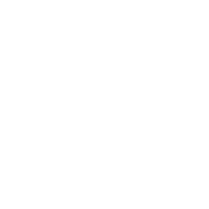 Whitestone Luxury Homes logo