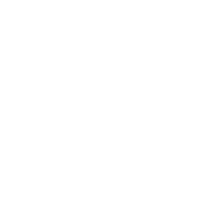 Whitestone Luxury Homes logo