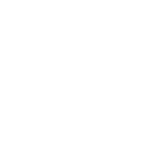 Whitestone Luxury Homes Studio16 logo