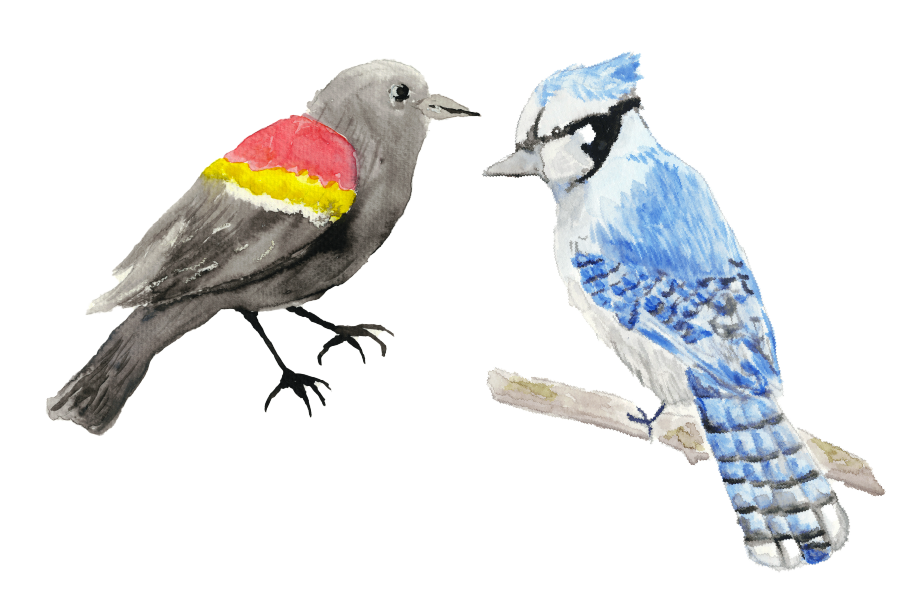 Kite + Wing
