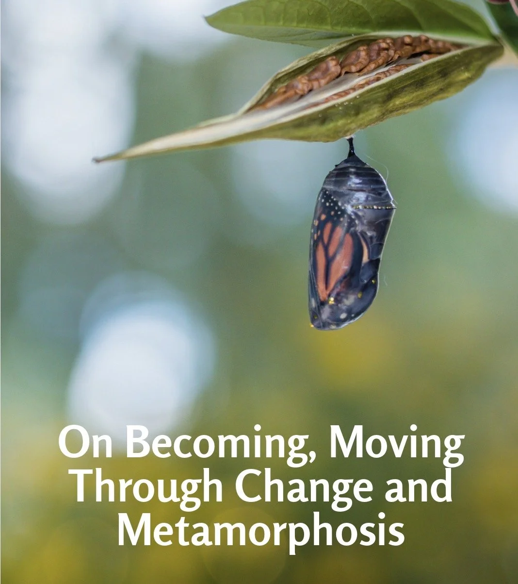 On Becoming, Moving Through Change & Metamorphosis