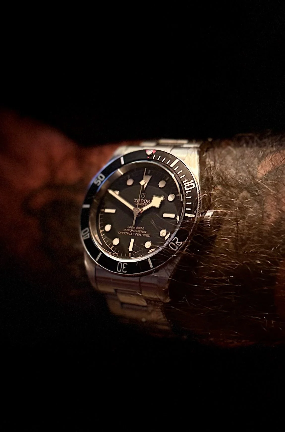 Tudor Black Bay Heritage 41mm