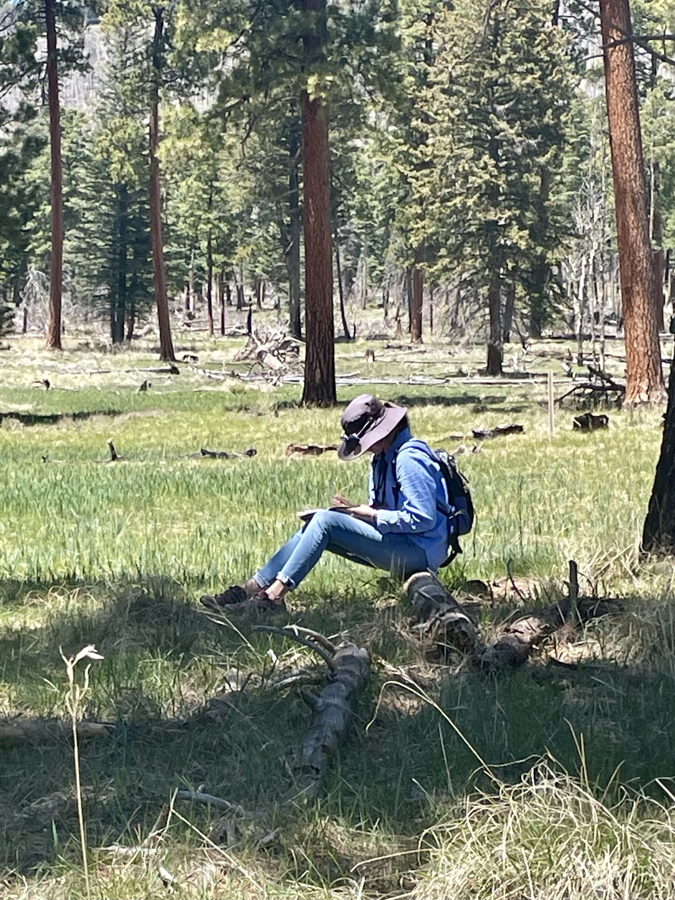 A person sitting on a fallen log in a forest, wearing a wide-brimmed hat, light blue shirt, jeans, and harness, with a backpack, surrounded by trees and grass.