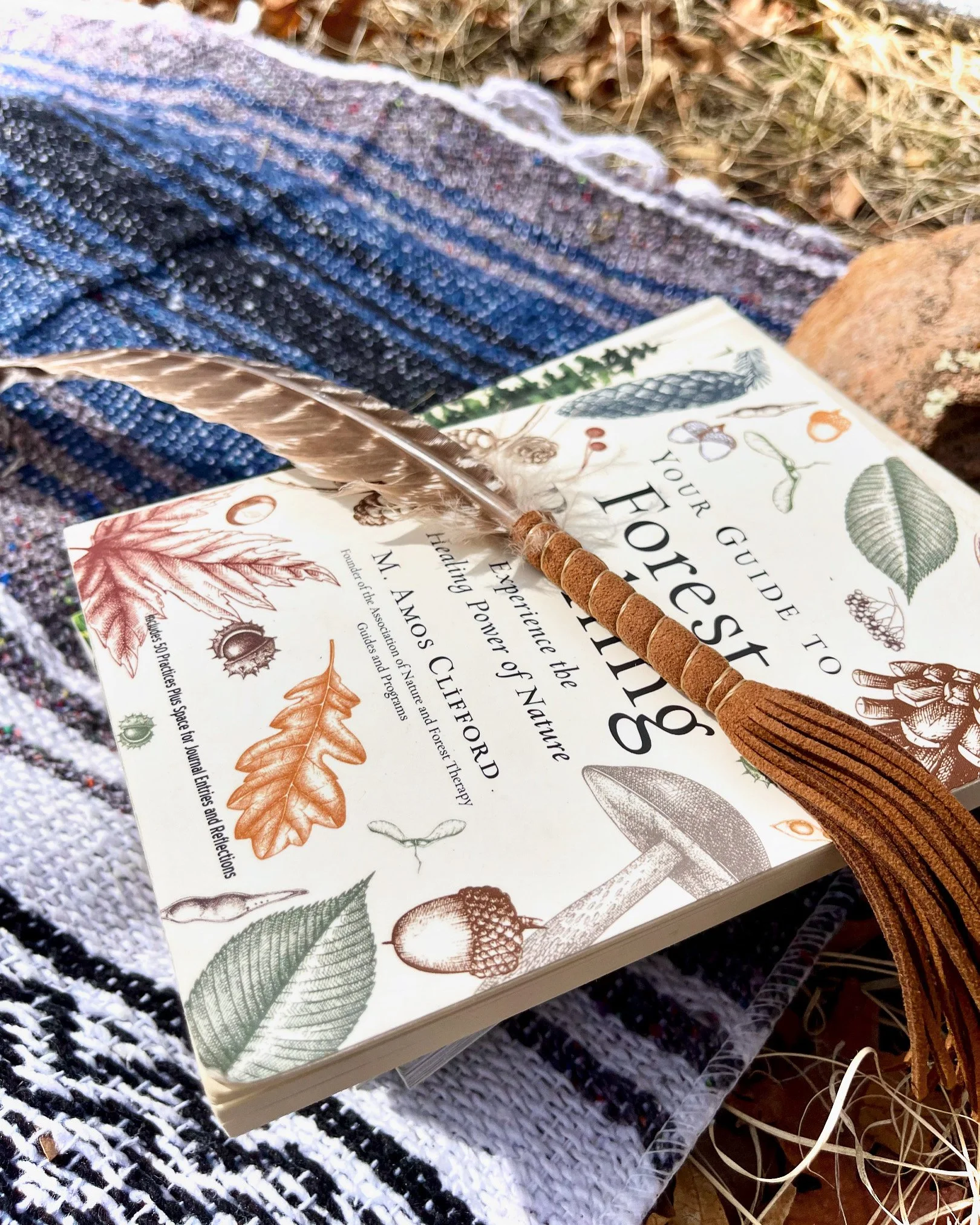 A book titled 'Your Guide to Foresting' lying on a patterned cloth with a feather quill pen on top of it, outdoors among dry grass and a rock.