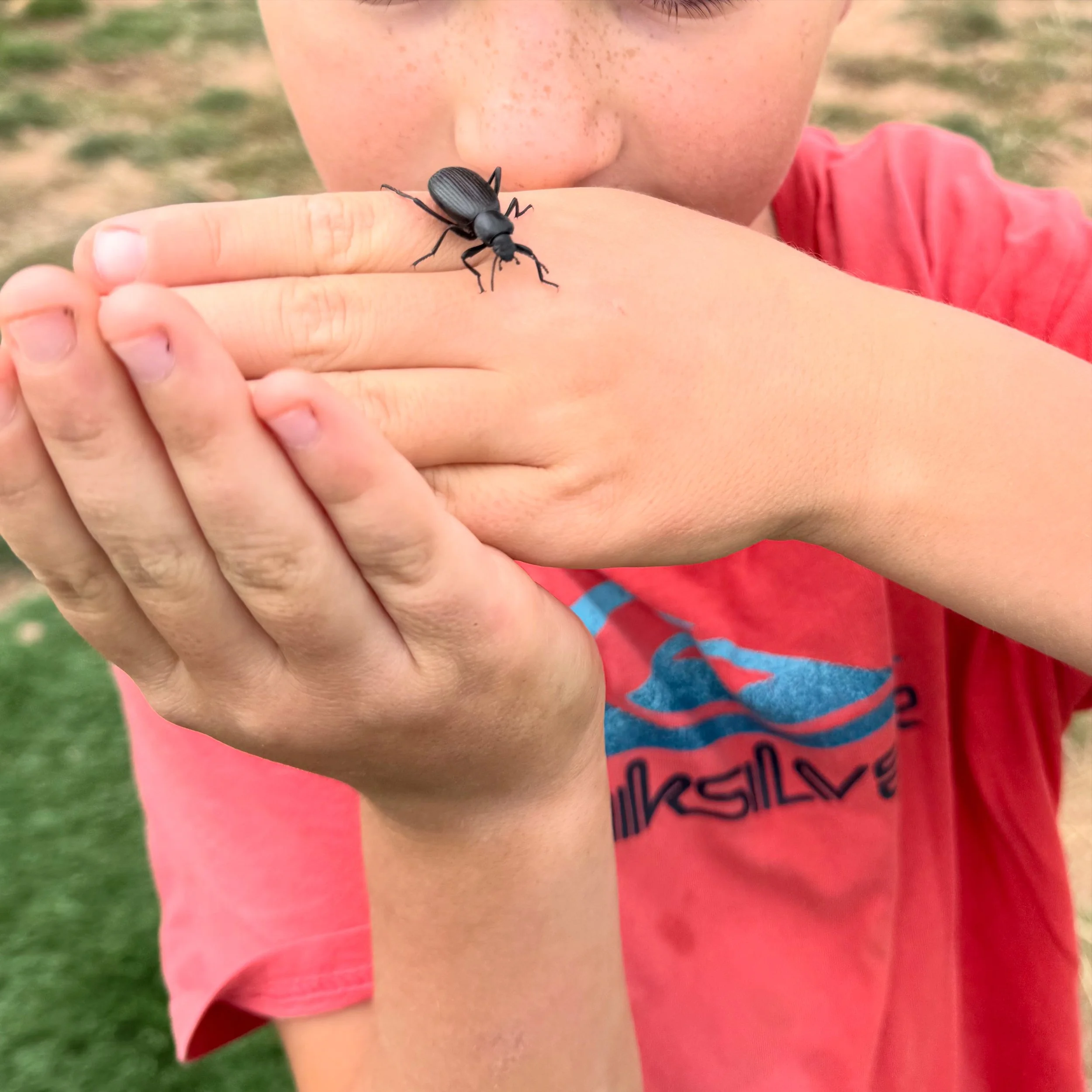 A child with freckles on their face holds their hands together, with a black beetle on their finger. The background is grassy.