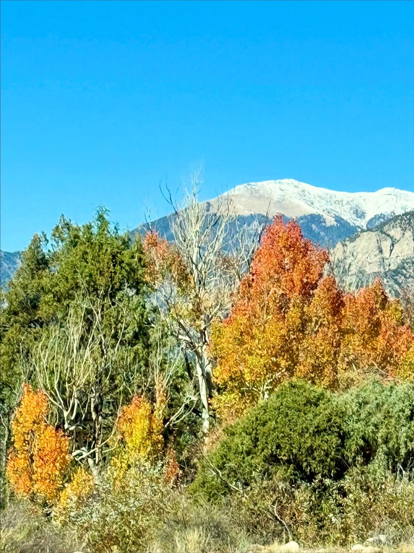 Mountain landscape with snow-capped peak, blue sky, and colorful autumn trees in the foreground.