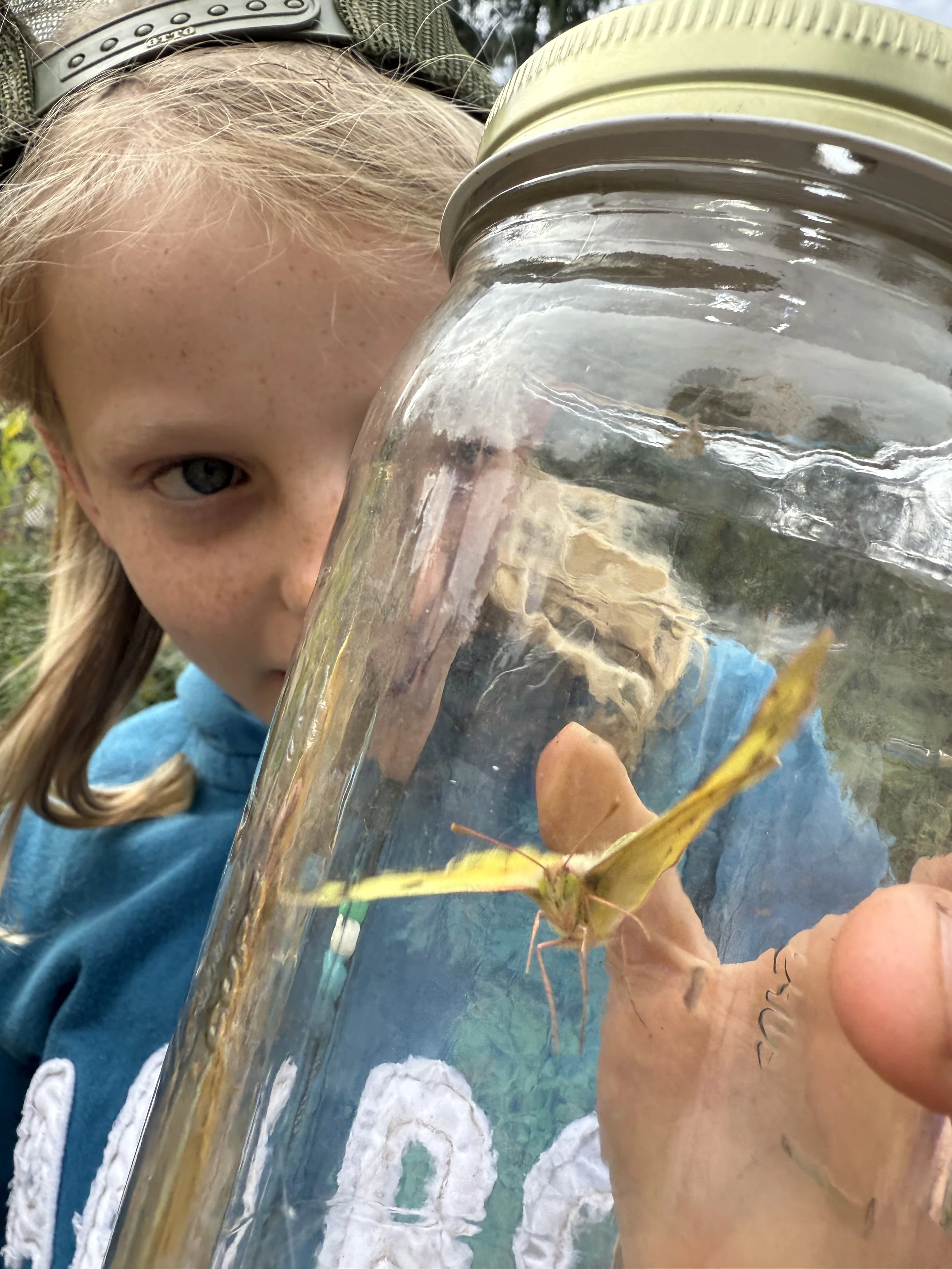 A young girl with blonde hair and blue eyes peering into a glass jar, holding a yellow butterfly with orange markings on its wings, photographed outdoors.