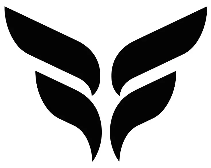 Black abstract leaf or feather design on a white background.