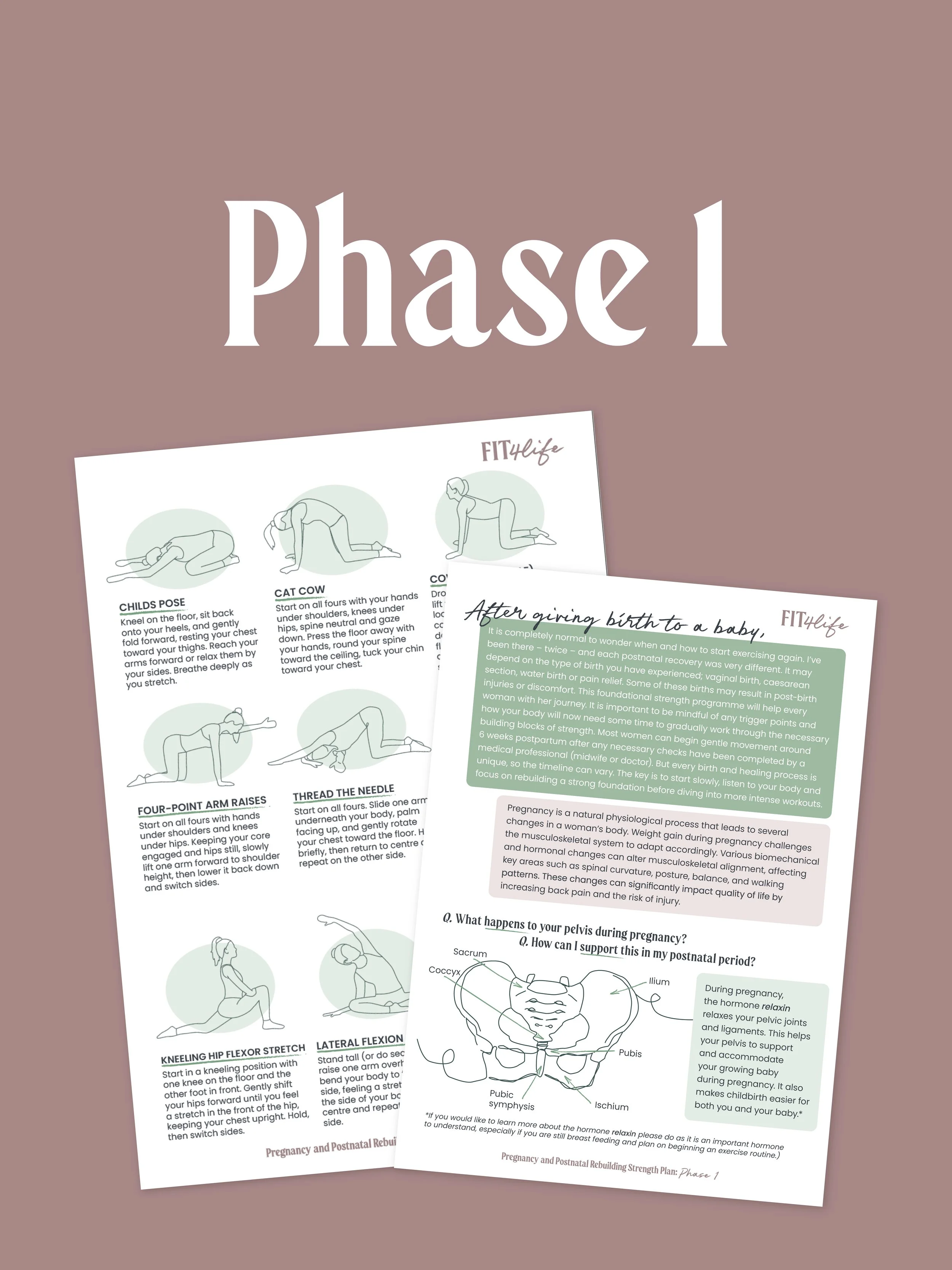 Free Pregnancy and Postnatal Rebuilding Strength Plan - suitable for women in their third and fourth trimester
