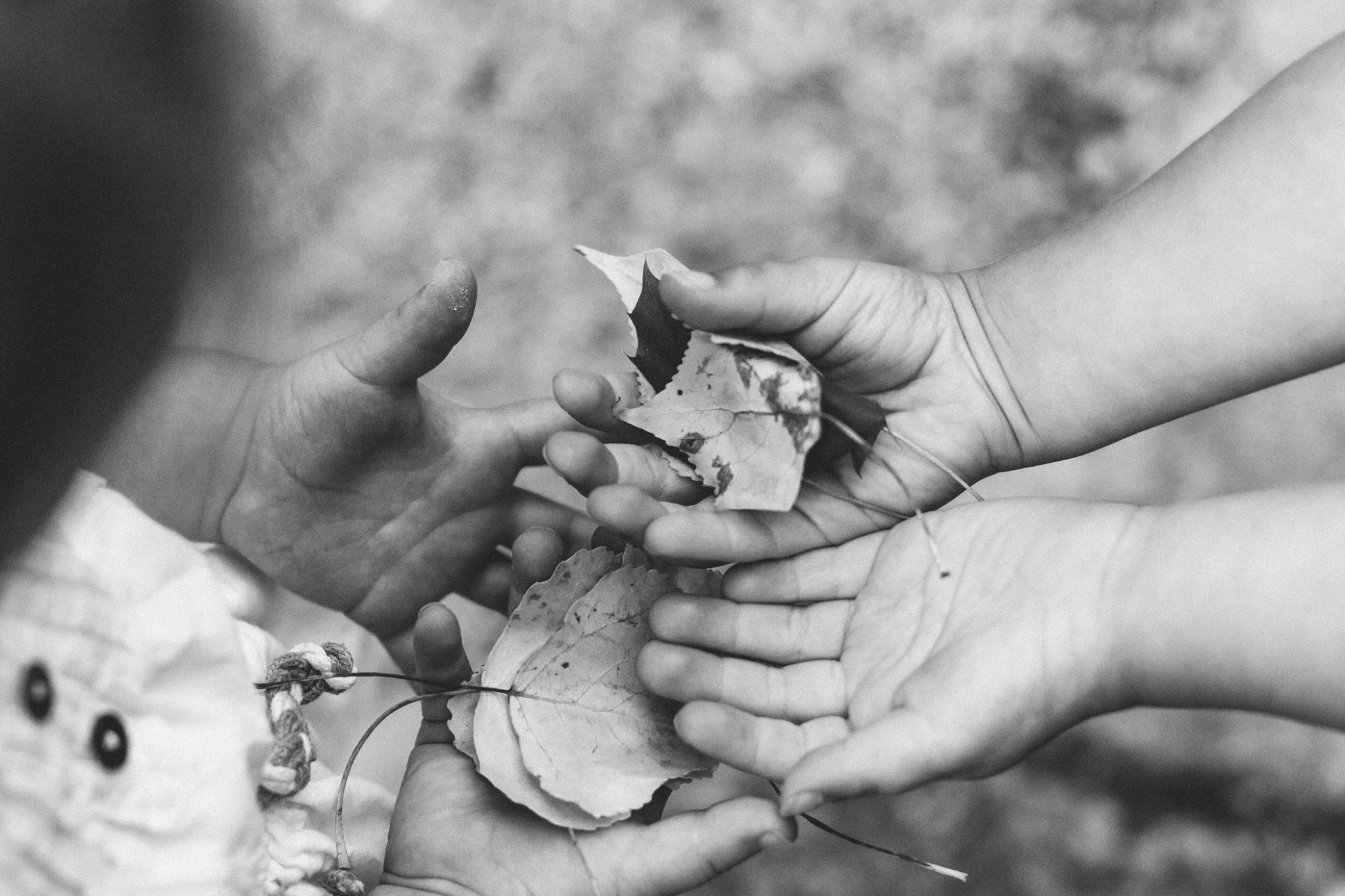 Close-up of hands passing autumn leaves