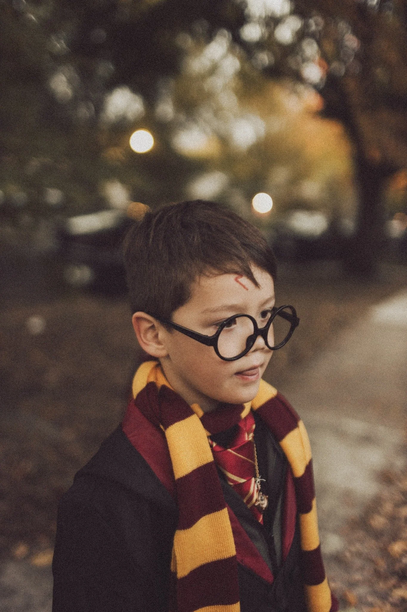 harry-potter-halloween-costume.jpg