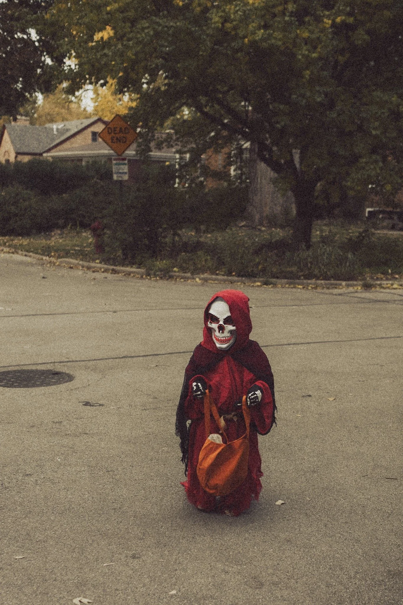 halloween costume skull.jpg