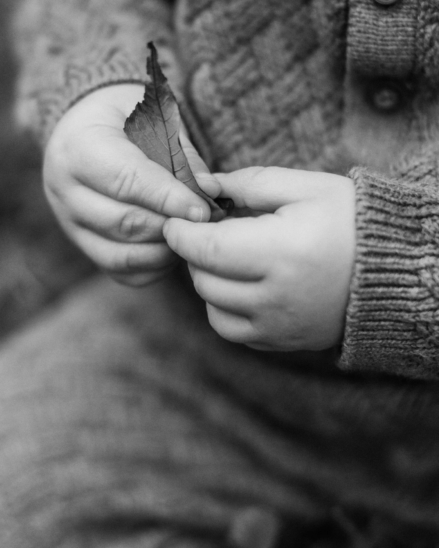 Mini Session with these lovelies ✨ September 2025