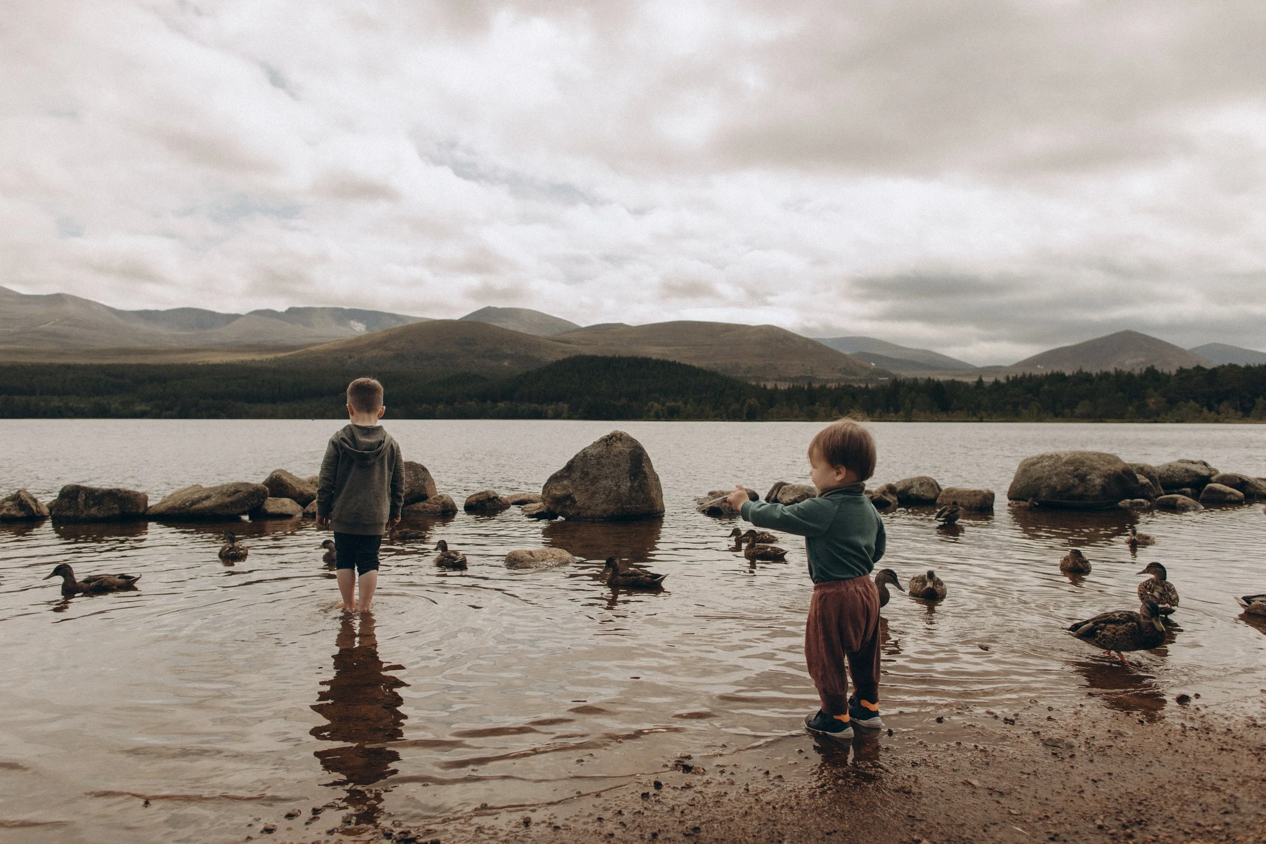 Two young children standing in shallow water at the edge of a lake, surrounded by ducks, with a backdrop of mountains and cloudy sky.