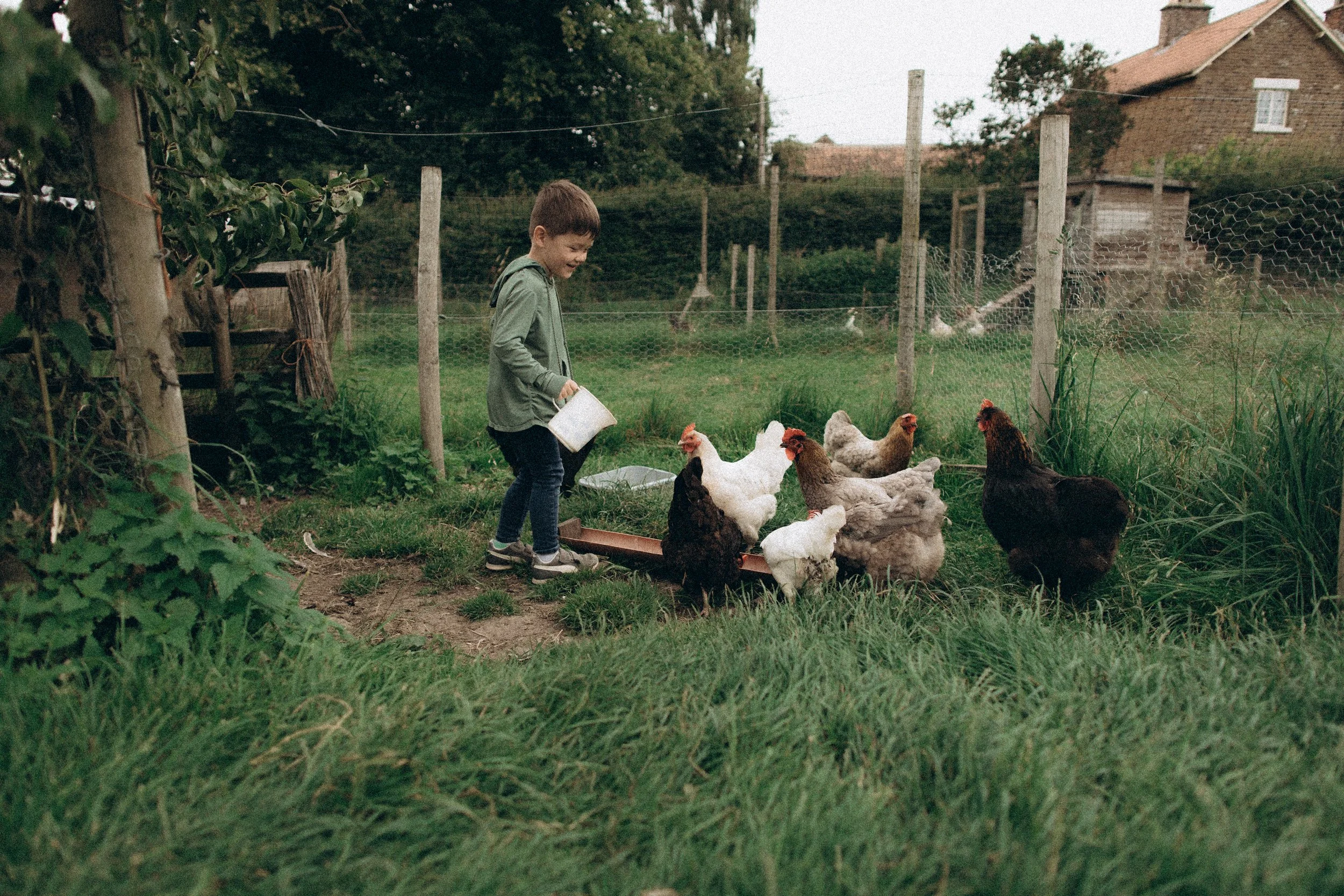 A young boy in a green hoodie feeding chickens in a grassy yard.