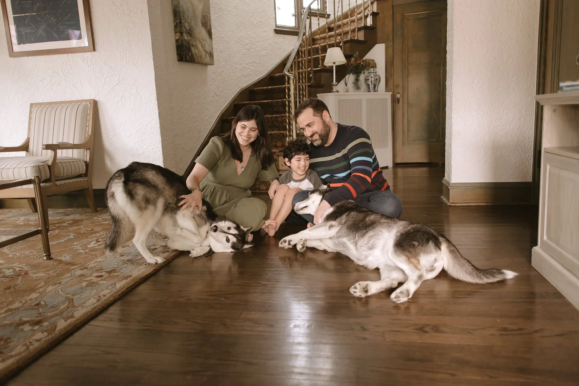 A family of three, a man, woman, and child, playing with two Siberian Huskies on a wooden floor in a living room. Shot in Evanston IL.  Lifestyle and documentary photographer also serving Chicago.