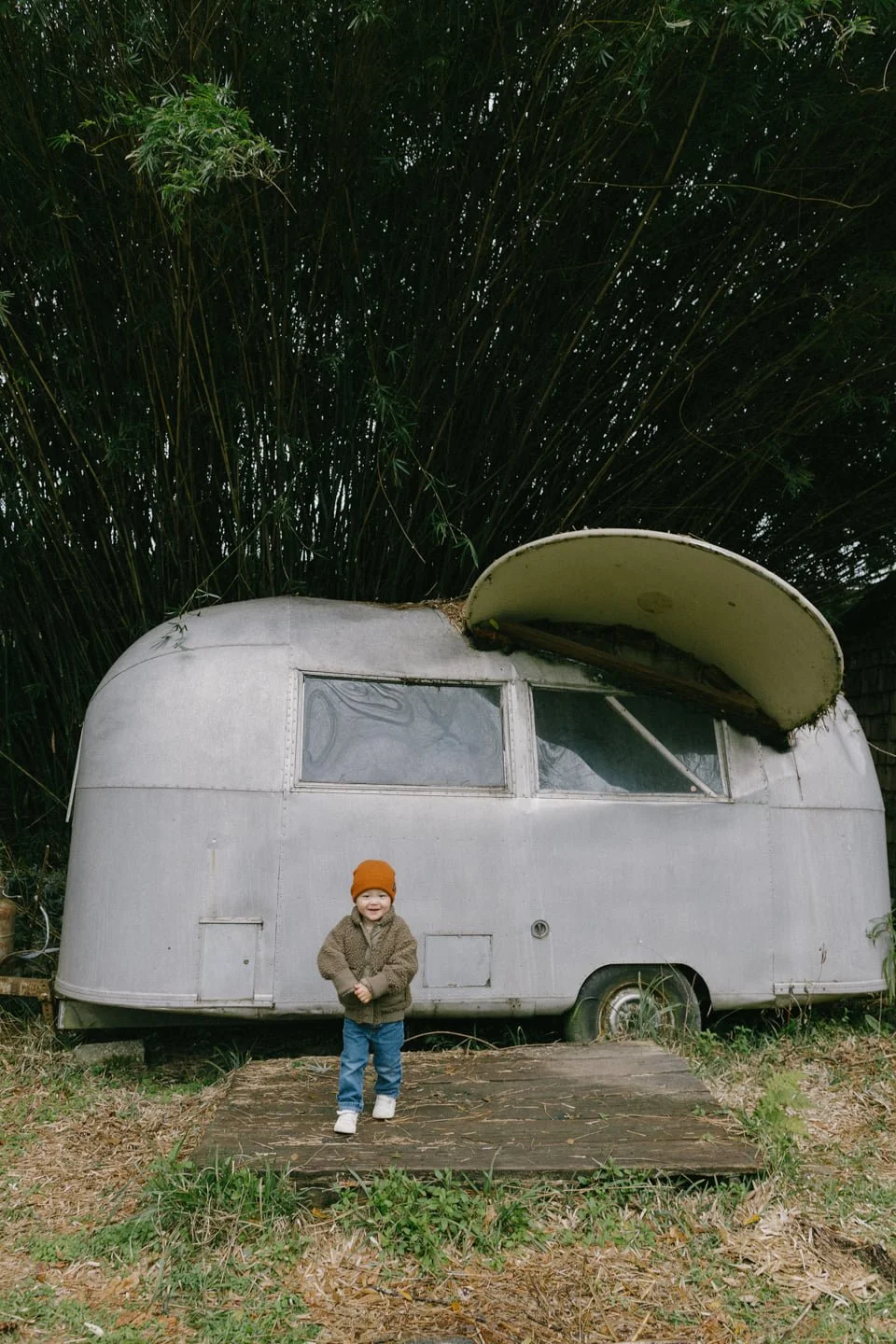 A small child with a brown jacket, orange beanie, and blue jeans standing on a wooden ramp in front of an old, silver vintage camper trailer with a partially open roof and surrounded by tall green bamboo leaves.