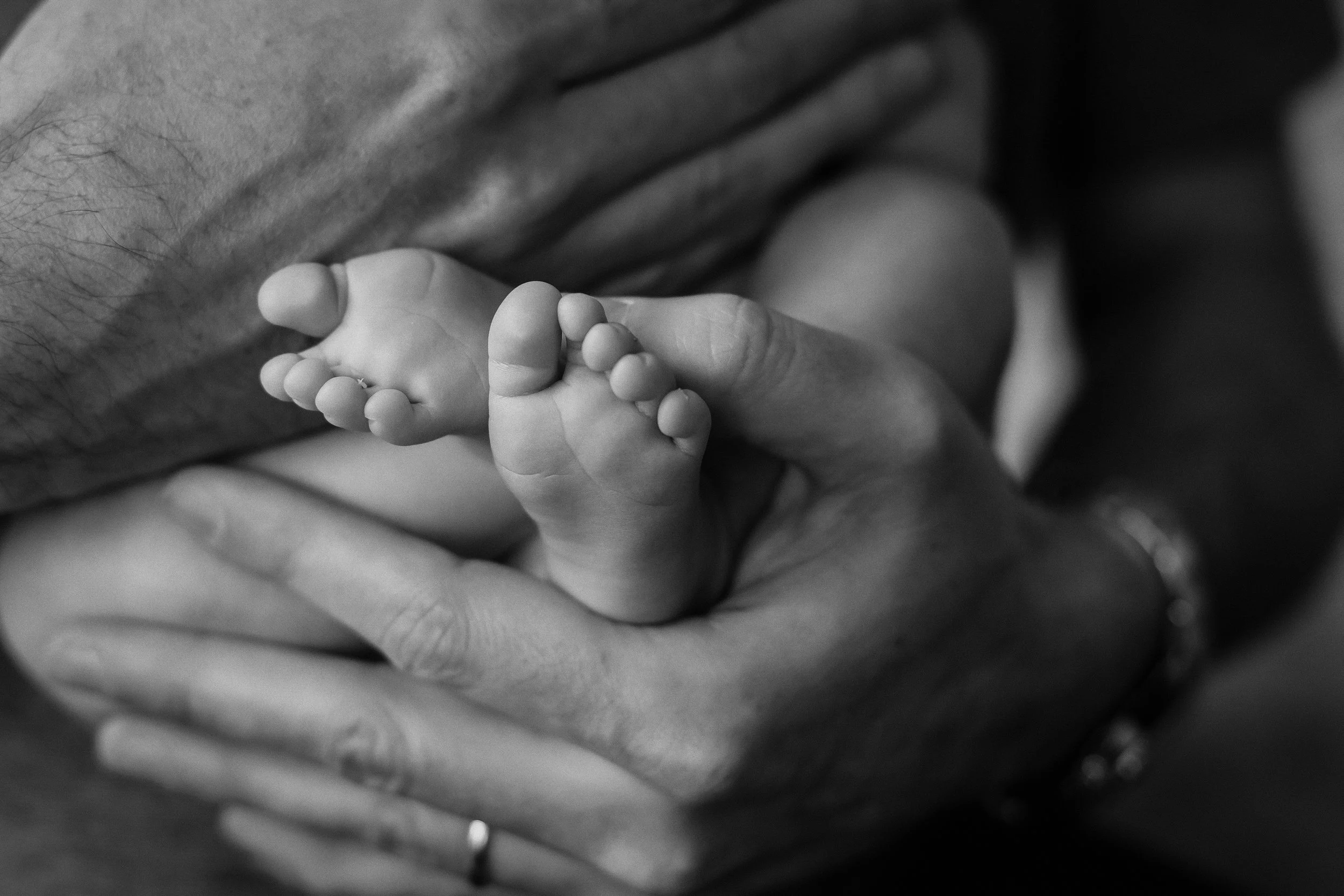 A black and white photograph showing an adult holding a tiny baby's foot with their hand. Details shot for newborn photography session. Chicago IL and Evanston IL