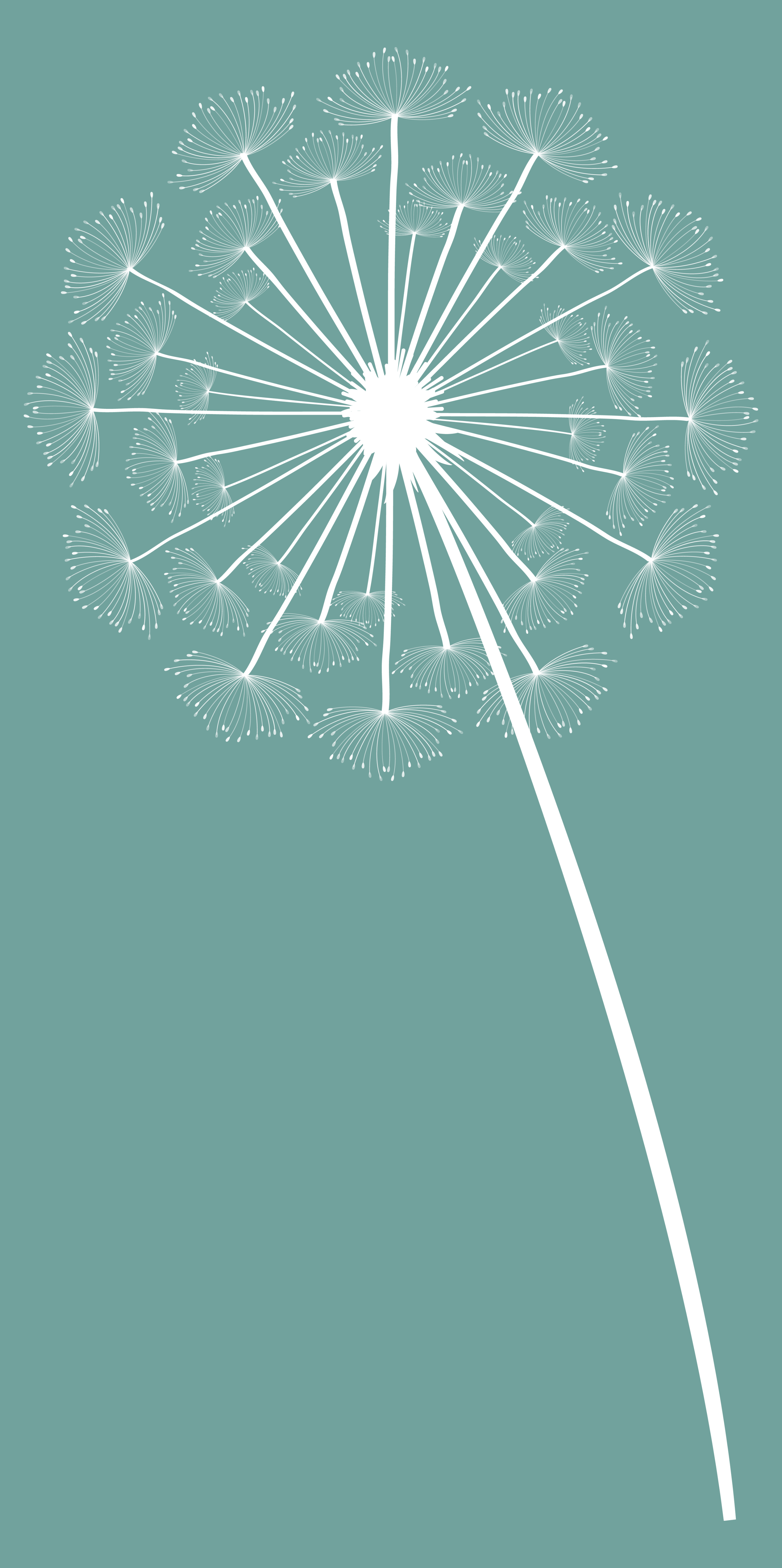 Dandelion