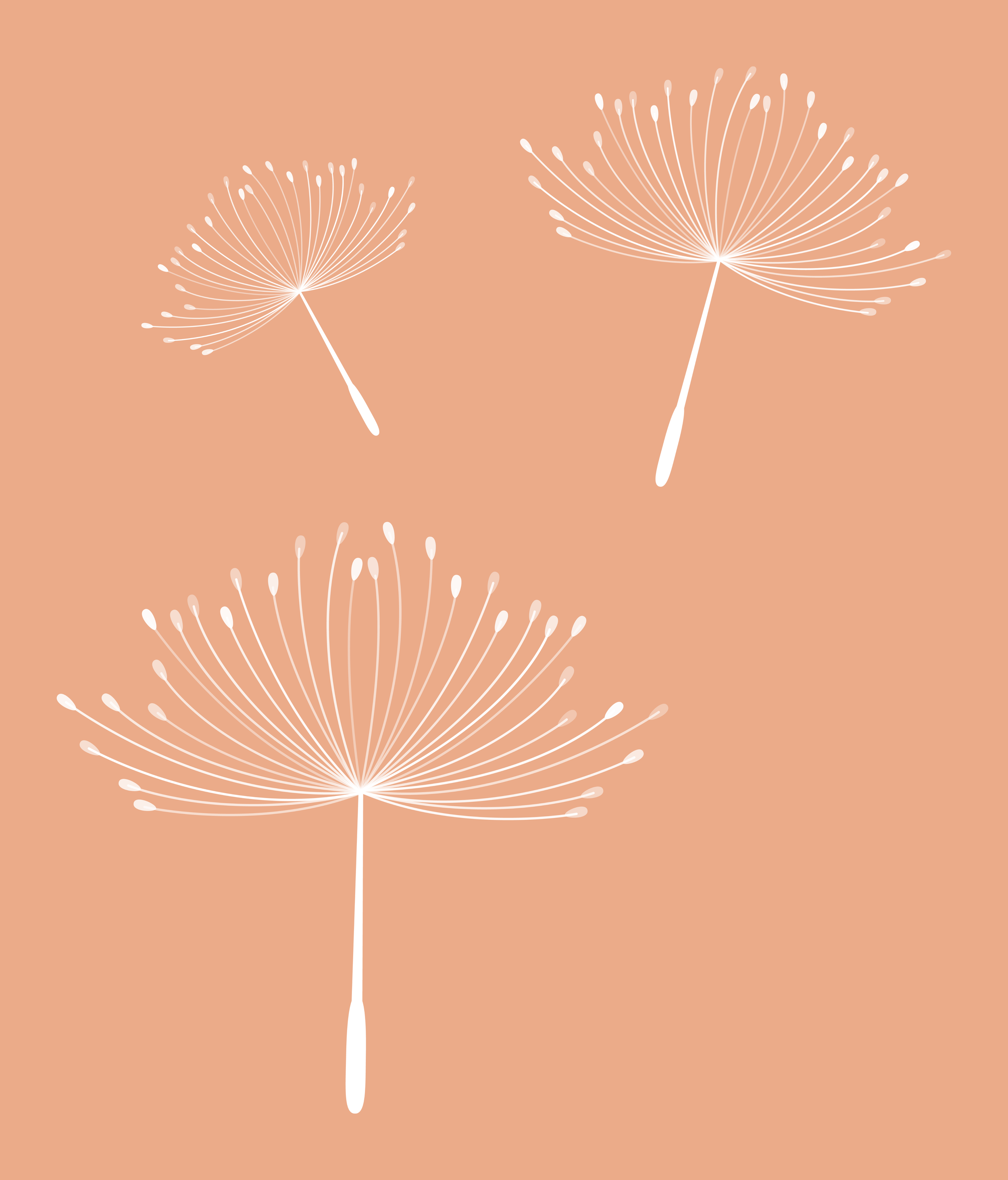 A digital illustration of three white dandelion seed heads on a peach background, with thin stems and delicate seeds.