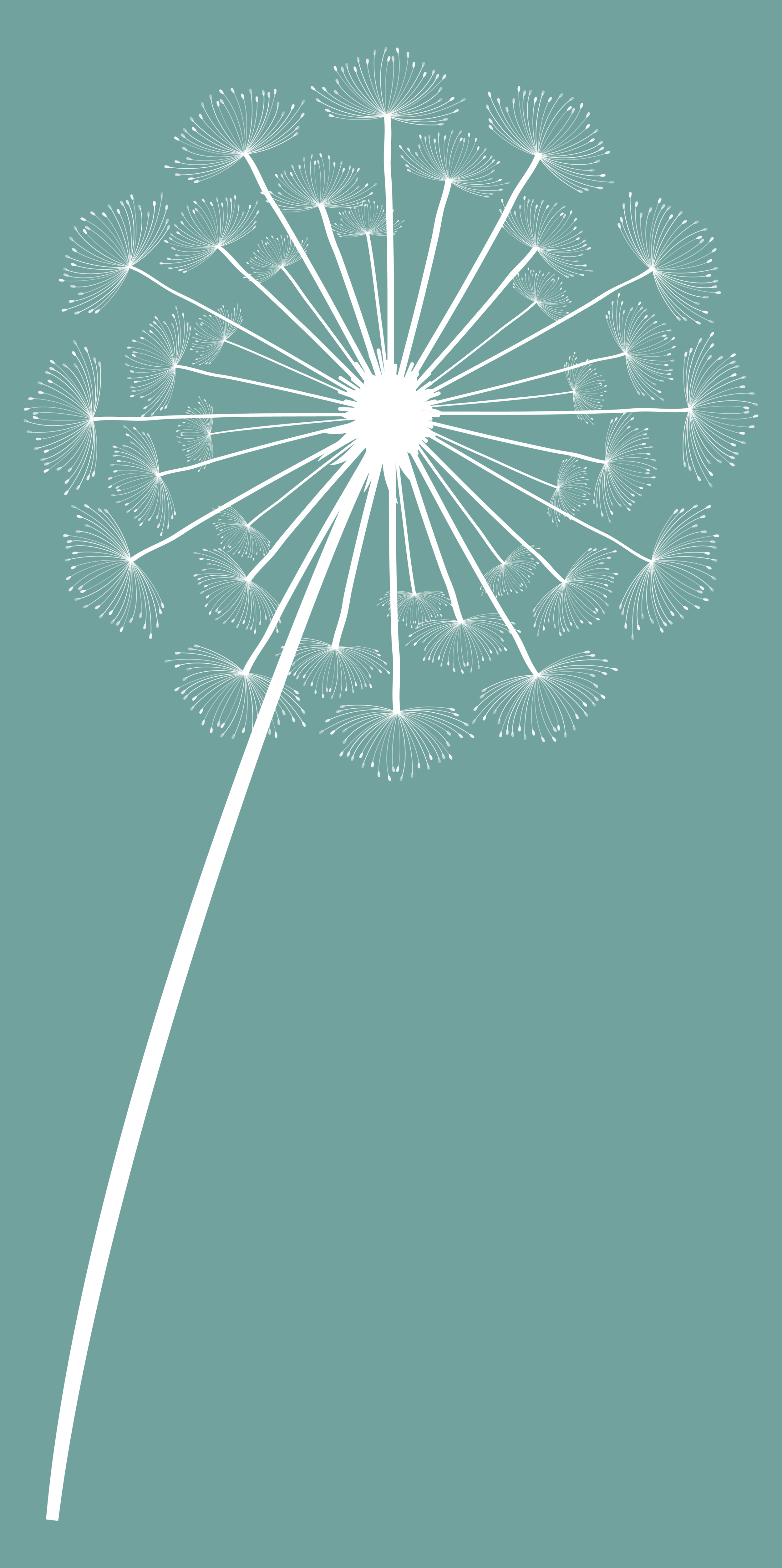 A digital illustration of a dandelion seed head against a teal background.