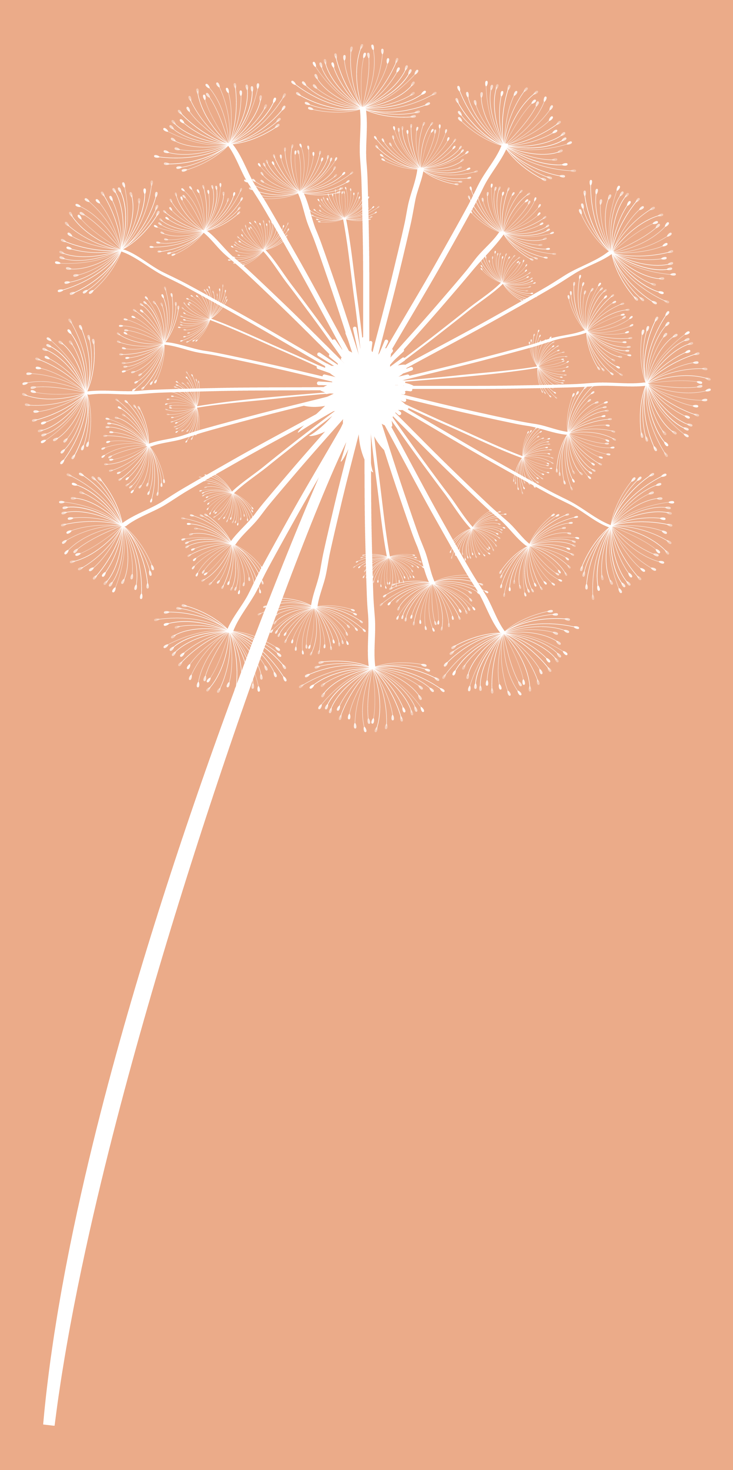 A stylized illustration of a dandelion seed head with white seeds against a soft peach background.