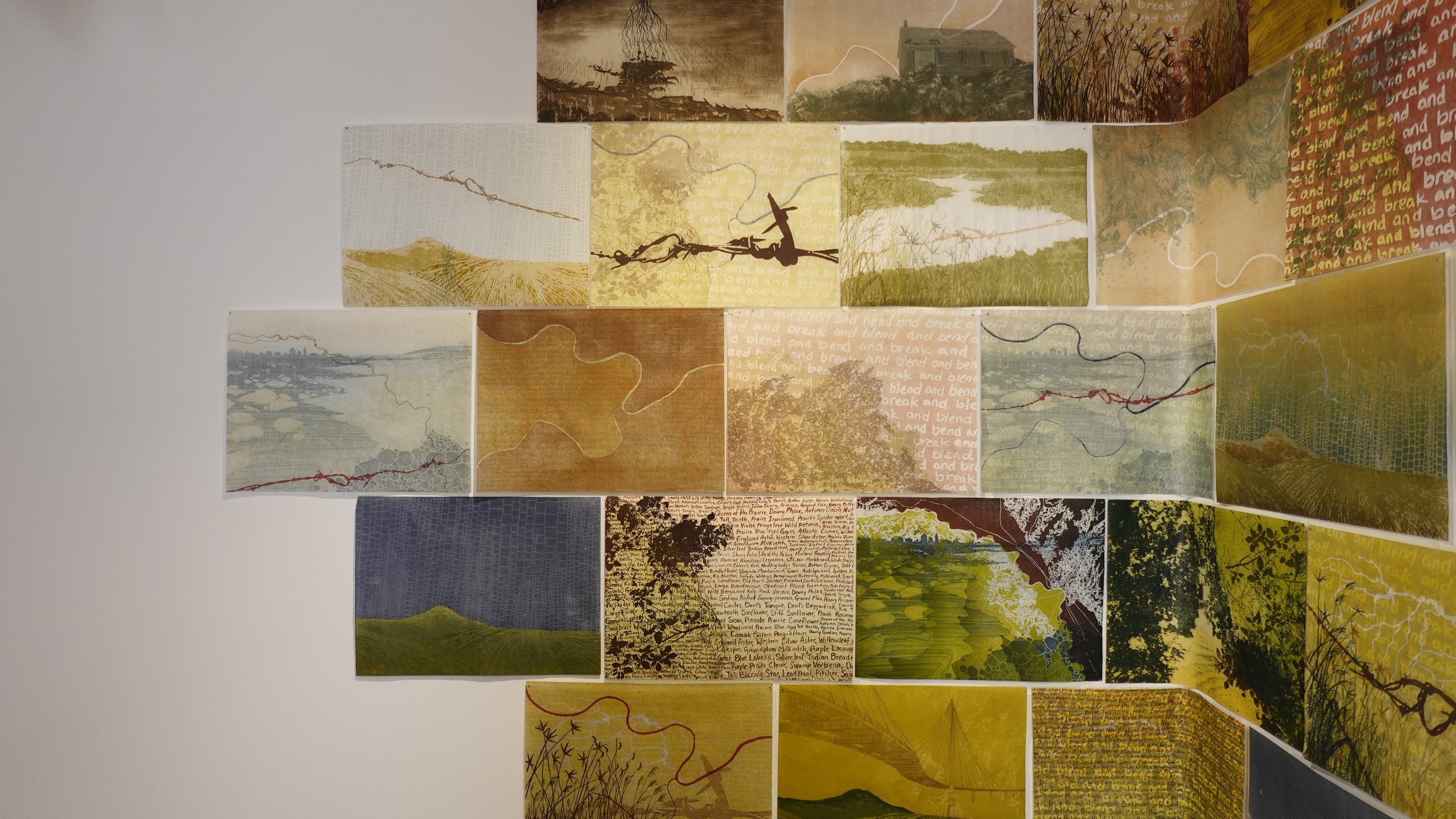 Print Installation by Amanda Maciuba